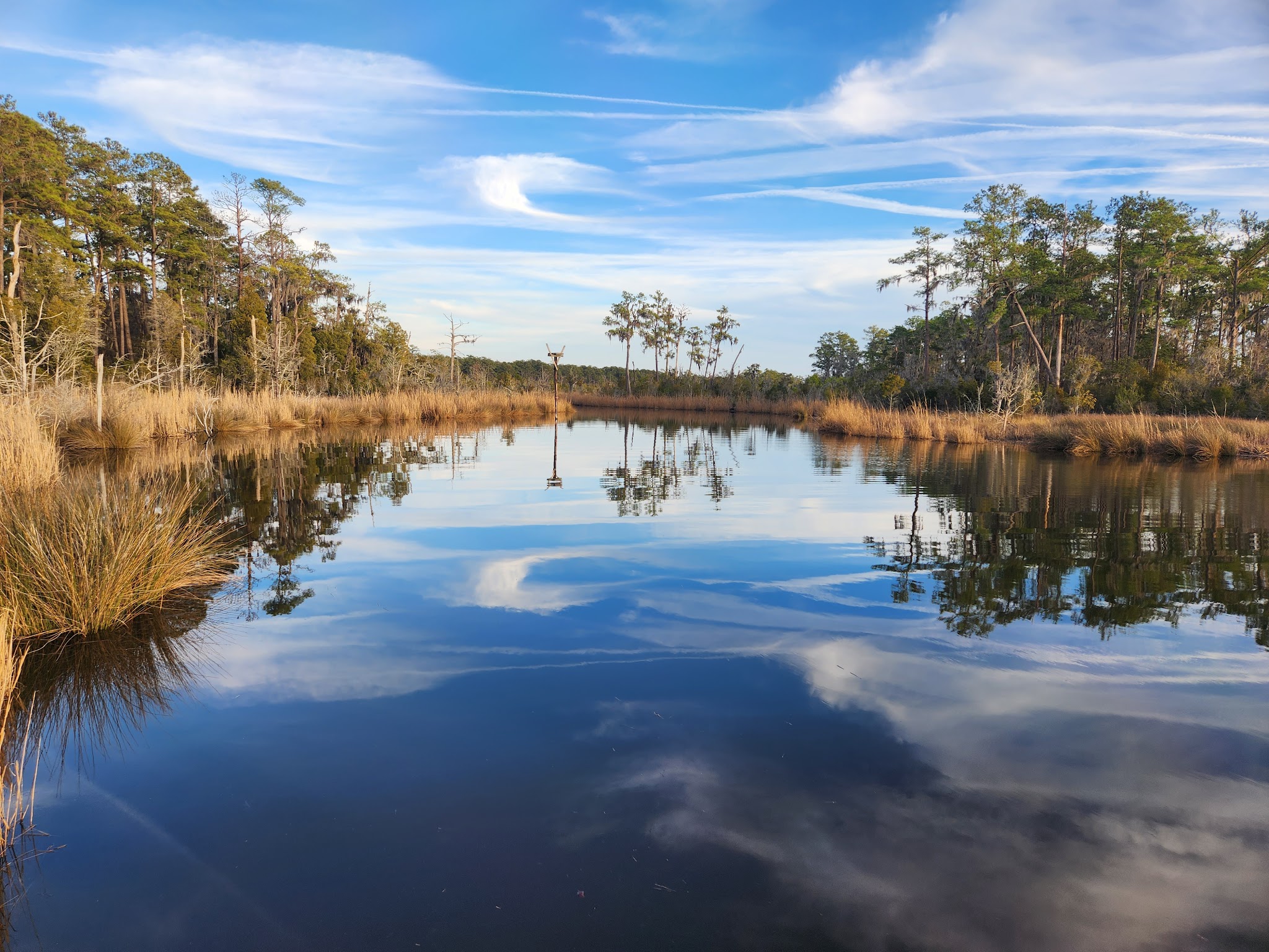 Goose Creek State Park