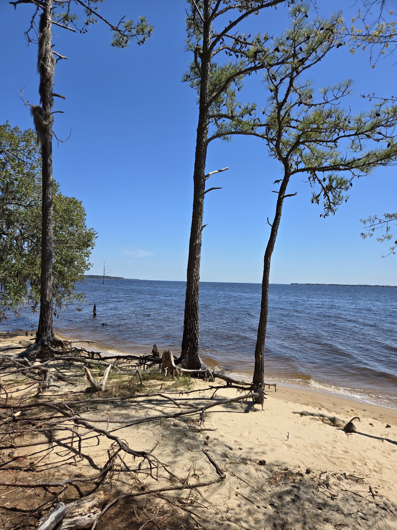 Goose Creek State Park