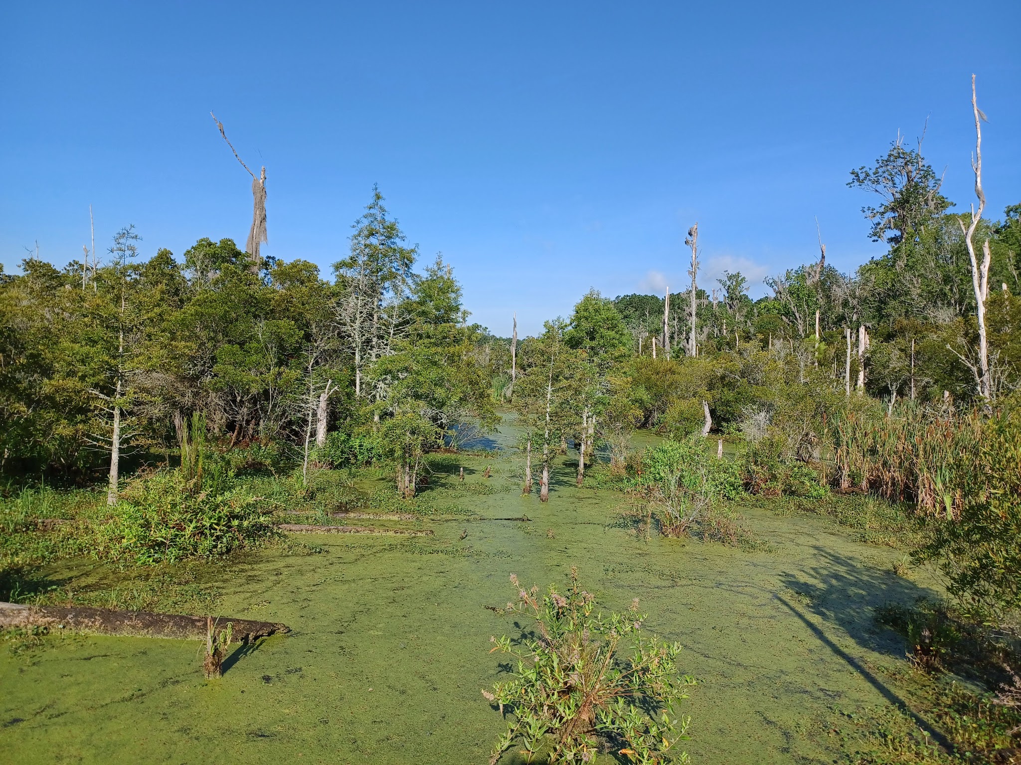 Goose Creek State Park