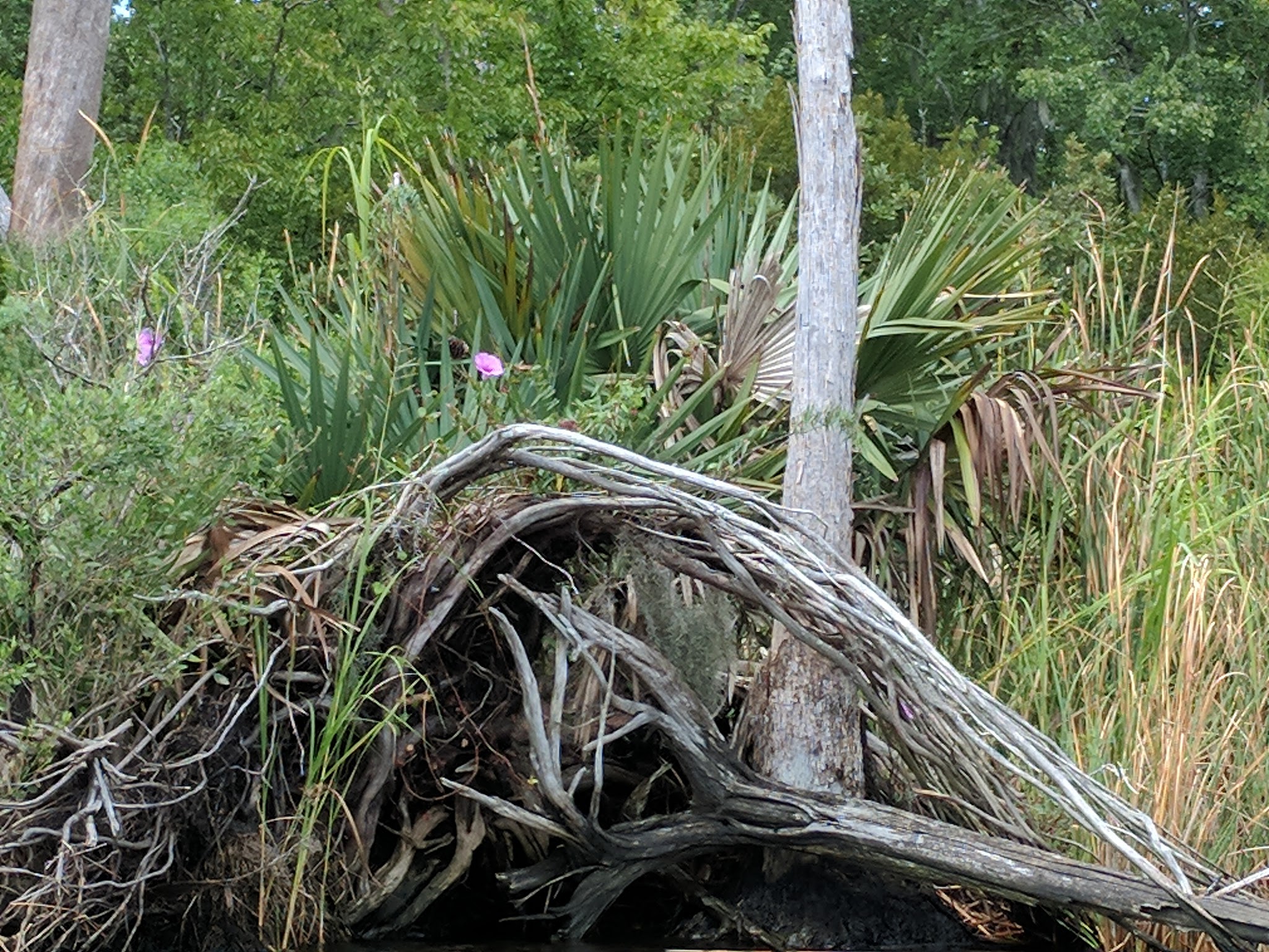 Goose Creek State Park
