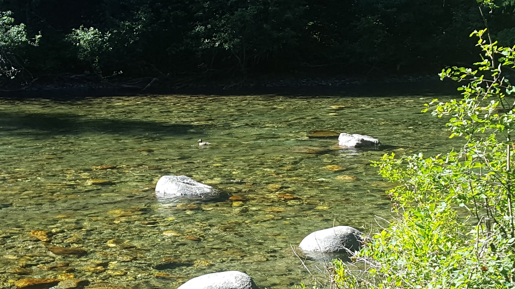 Goose Creek Campground