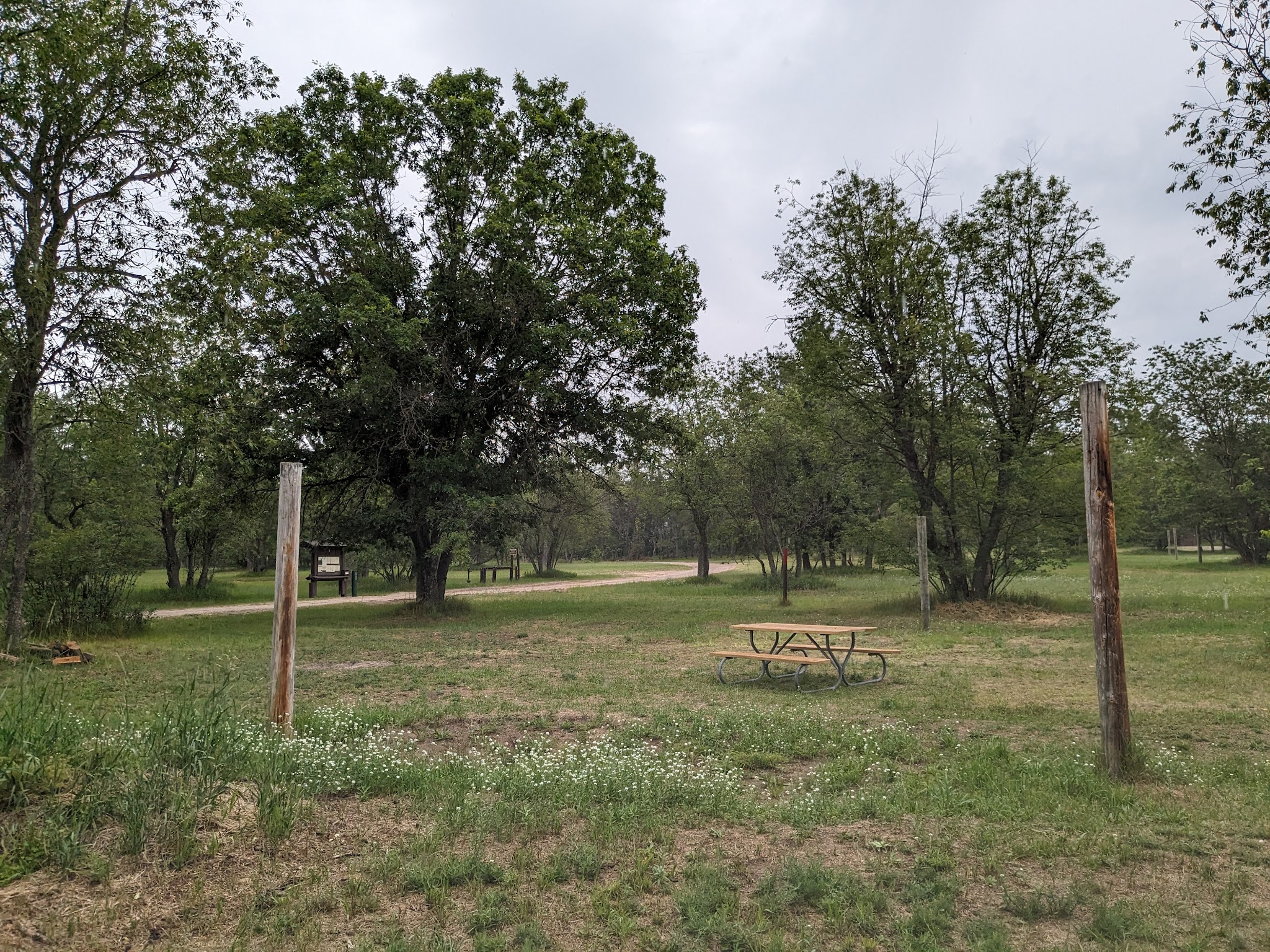 Goose Creek Trail Camp