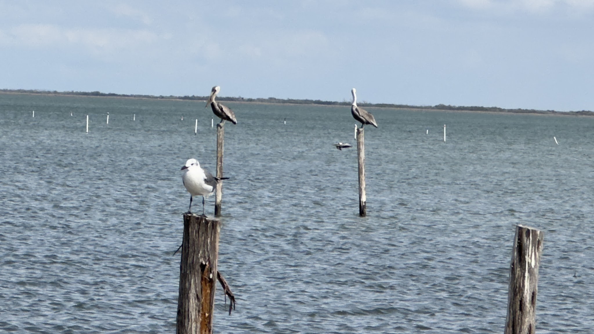 Goose Island State Park
