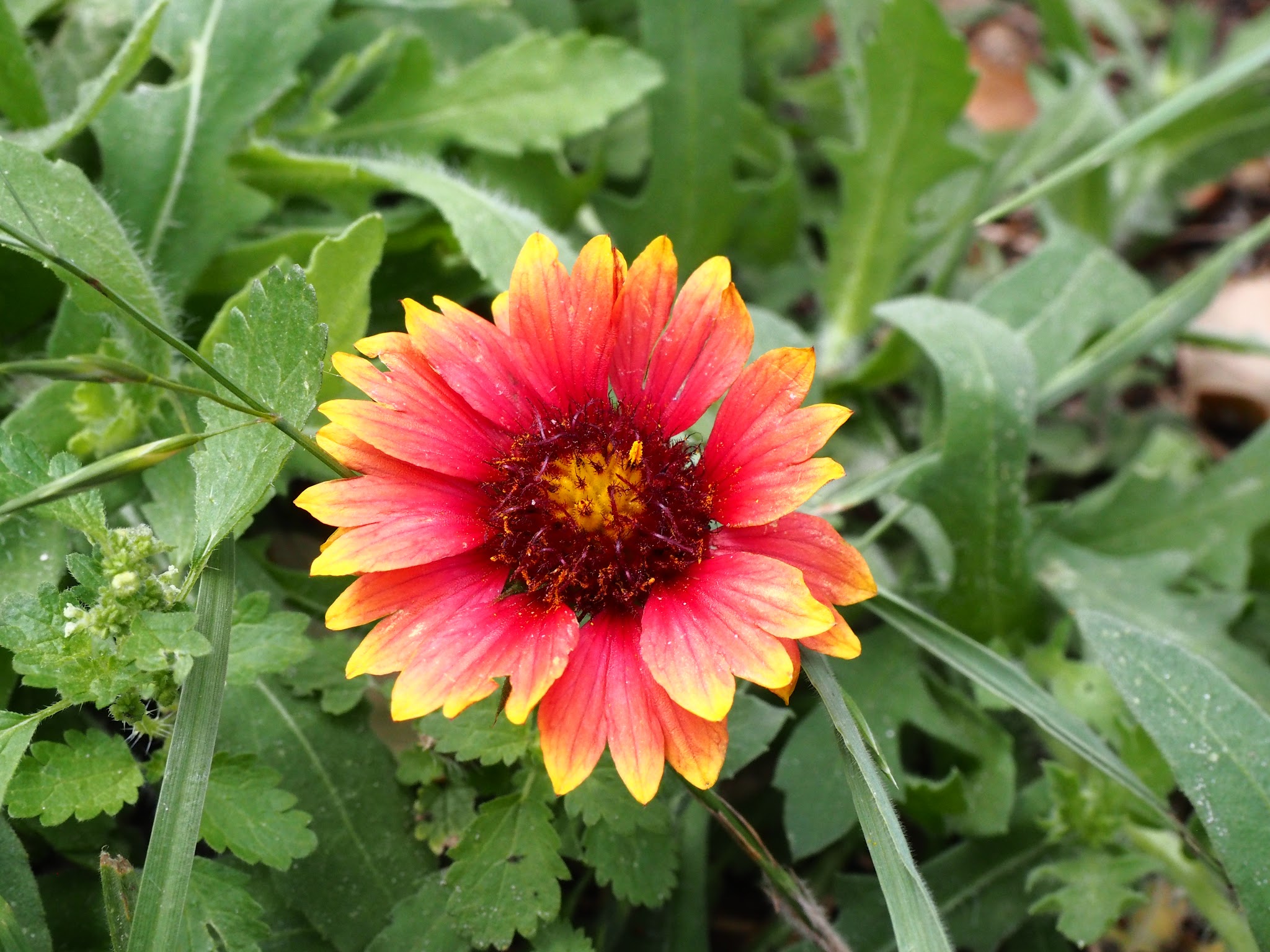 Goose Island State Park