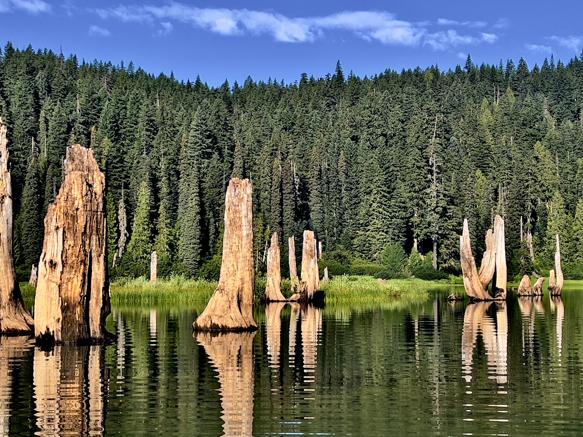 Campground: Goose Lake