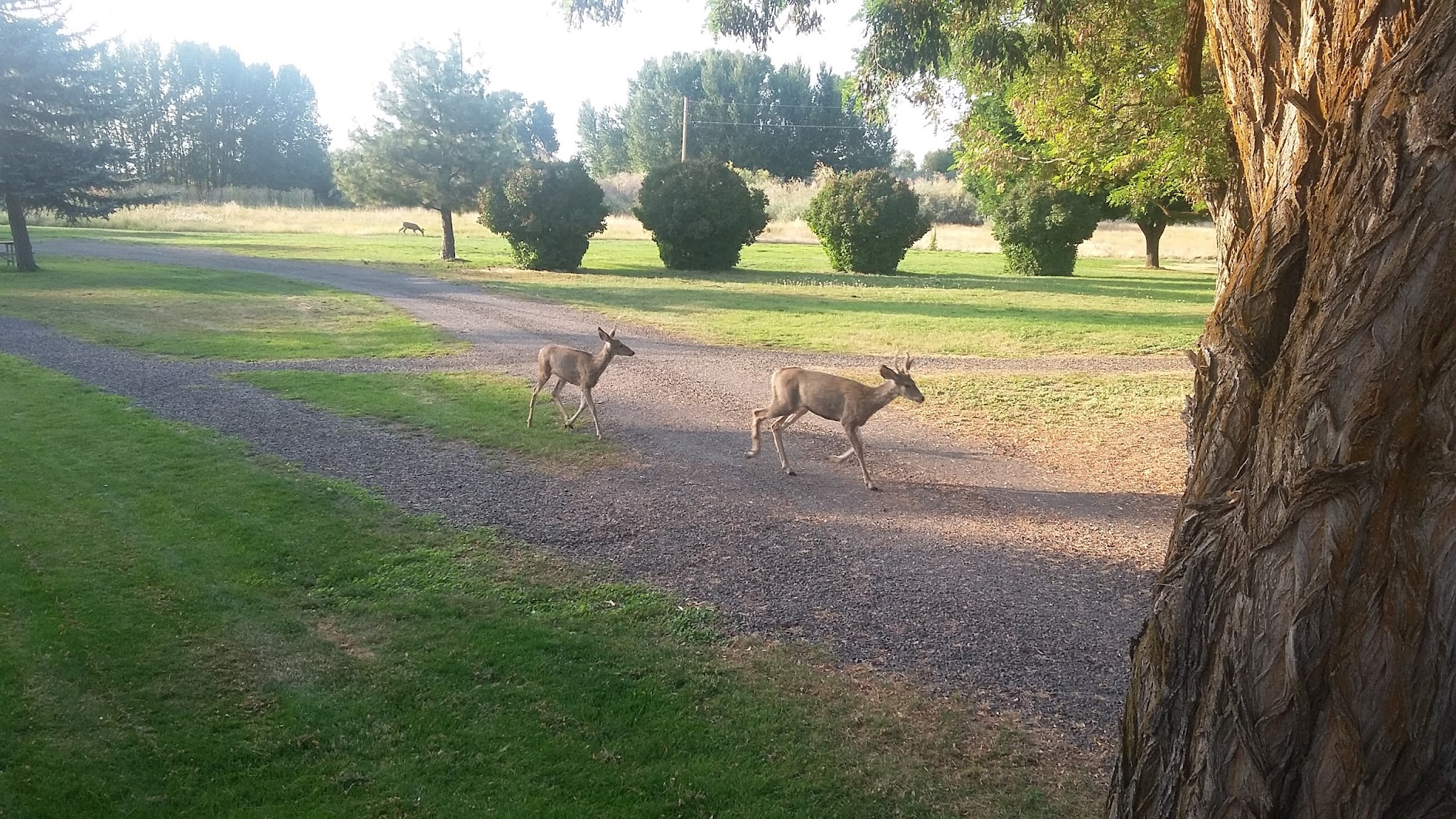 Goose Lake State Recreation Area