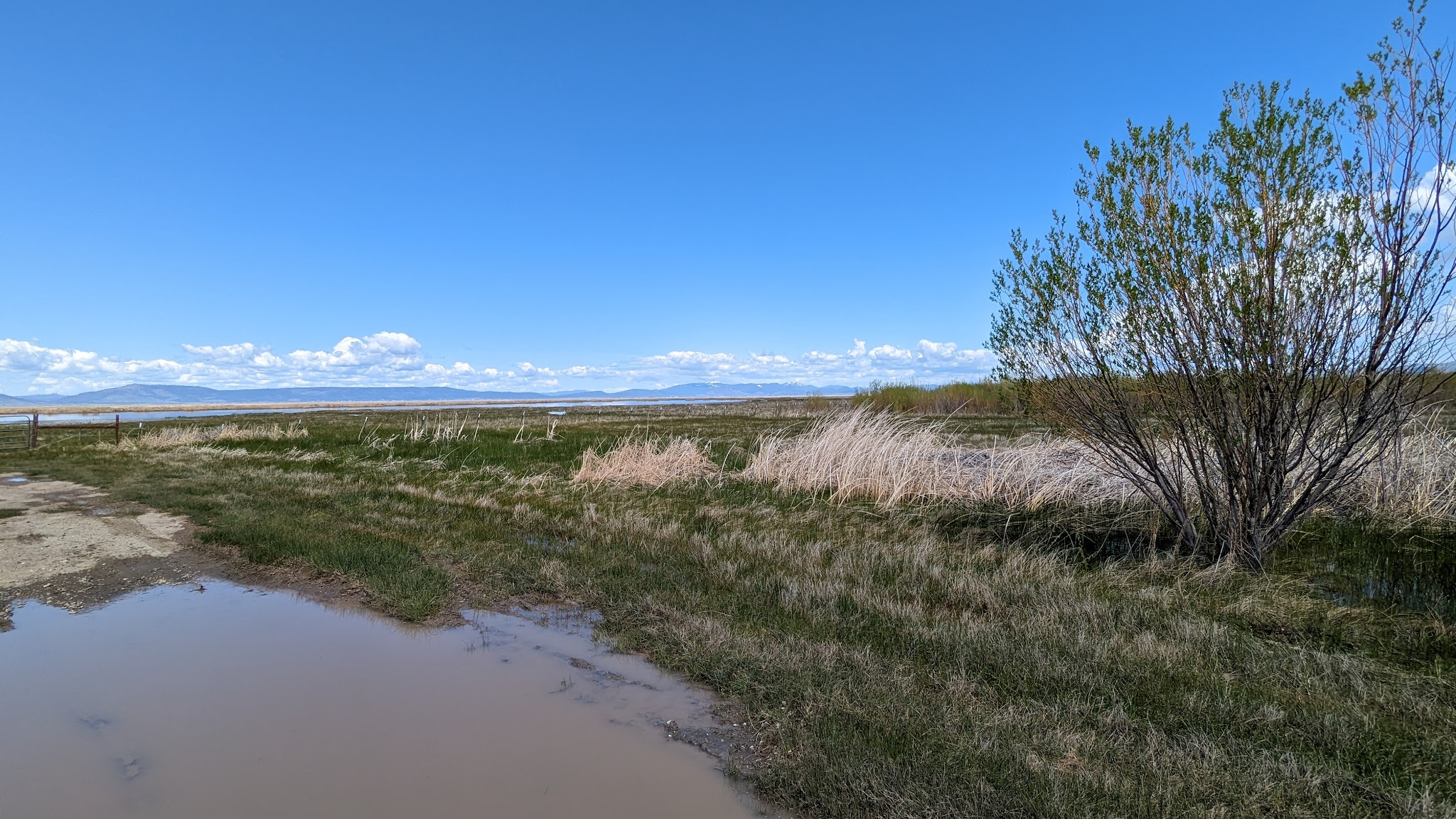 Goose Lake State Recreation Area