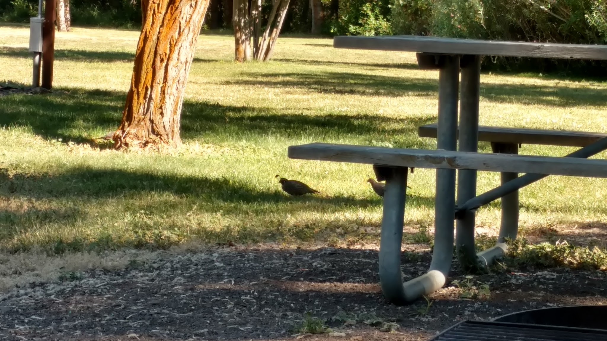 Goose Lake State Recreation Area