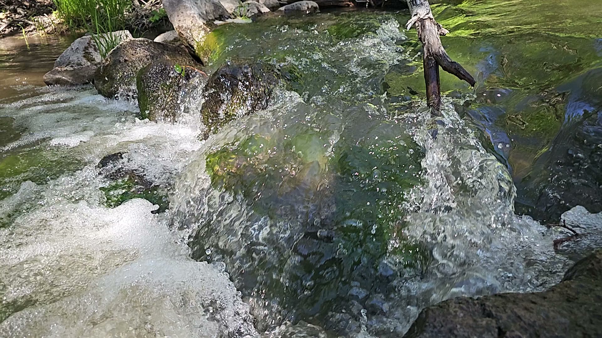 Gooseberry Admin Site Cabins
