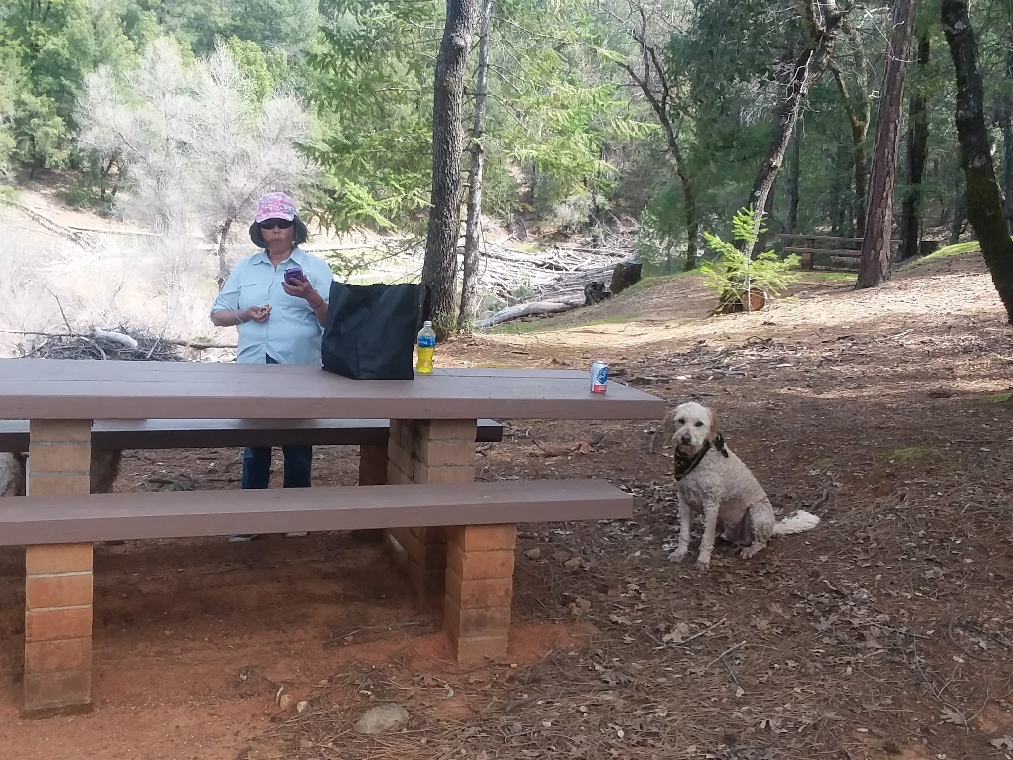 Gooseneck Cove Boat-In Campground
