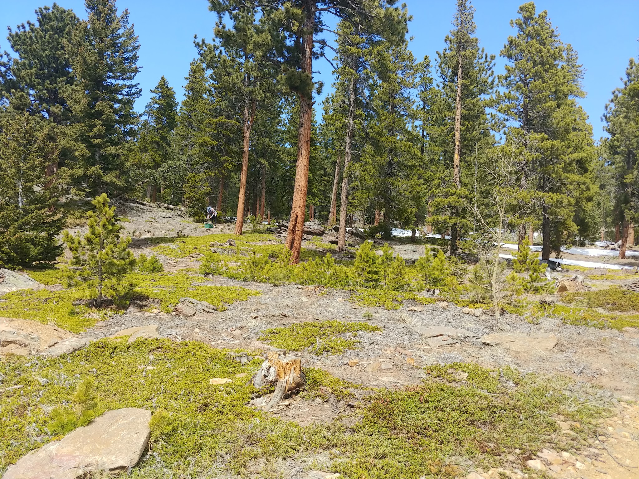 Gordon Gulch Dispersed Camping Area