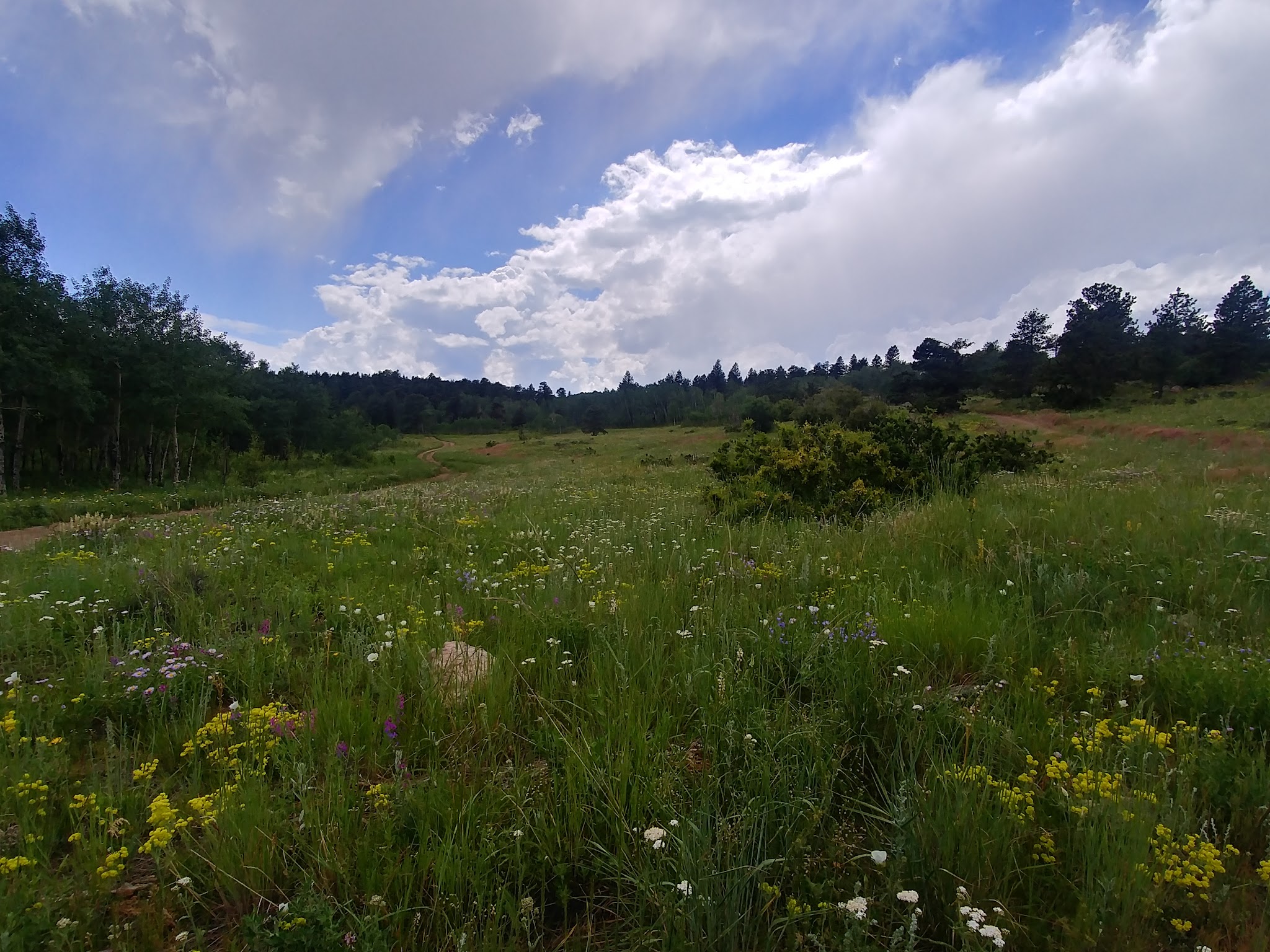 Gordon Gulch Dispersed Camping Area