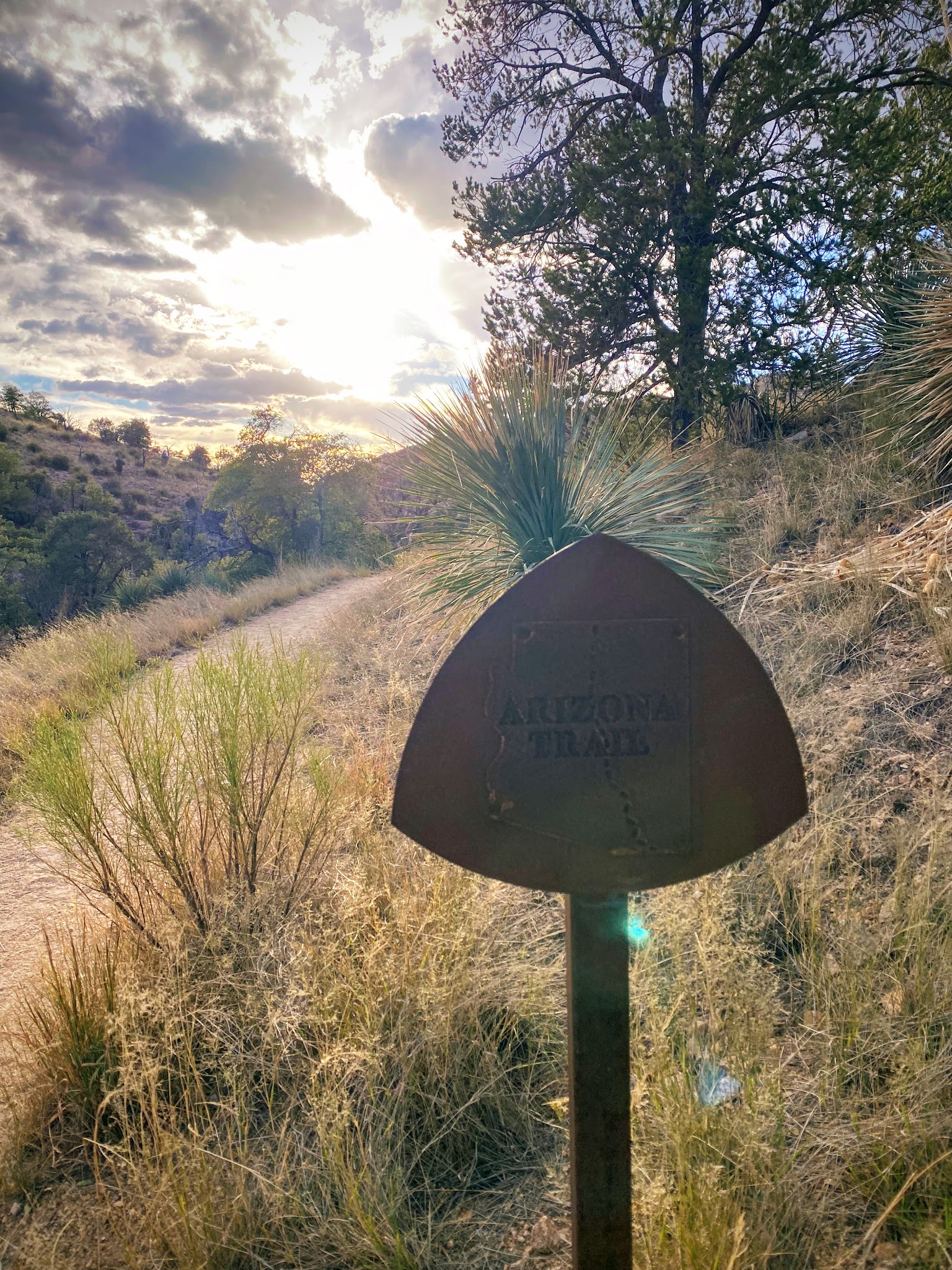 Gordon Hirabayashi Campground