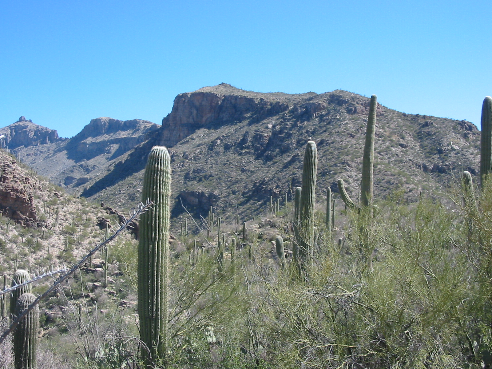 Gordon Hirabayashi Campground