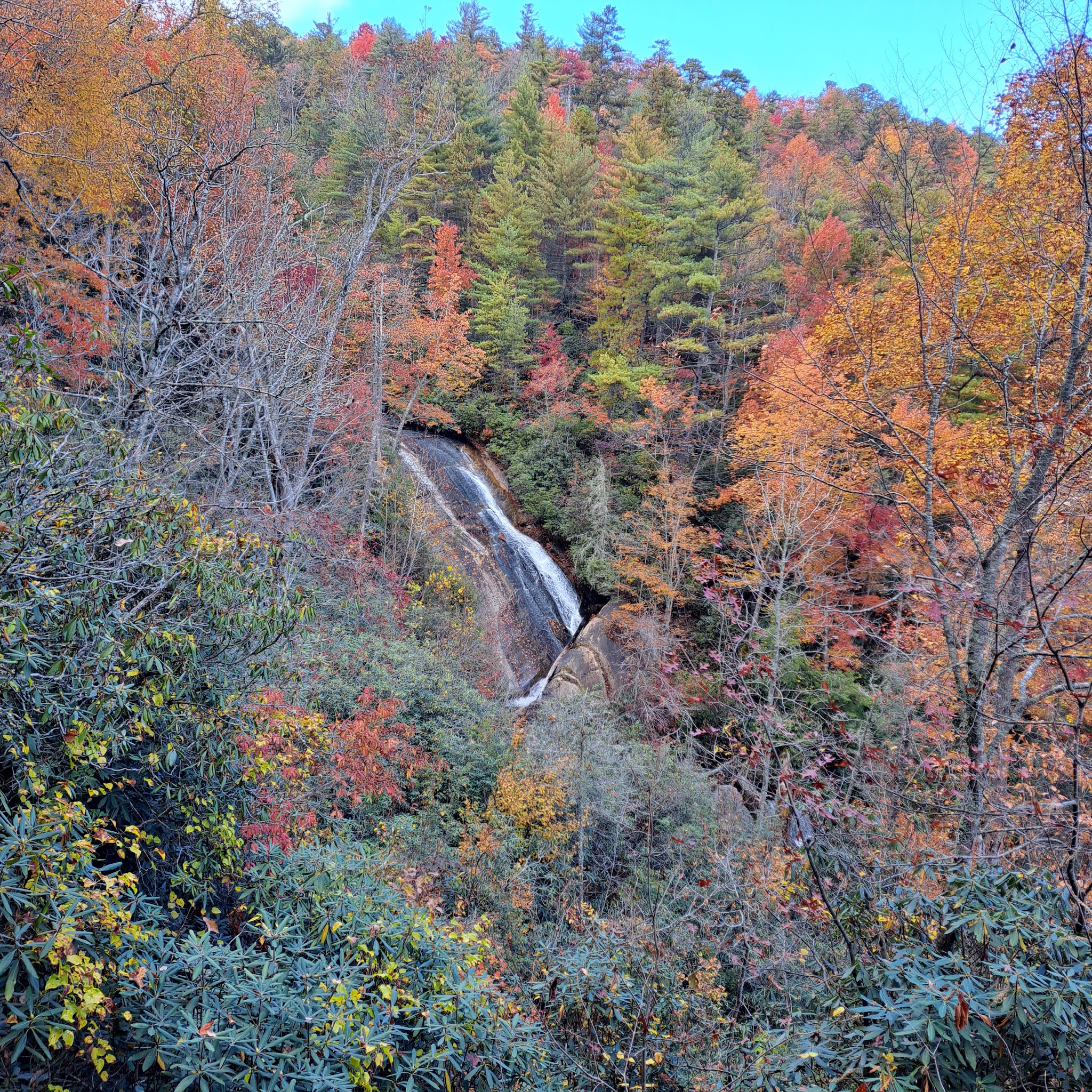 Gorges State Park
