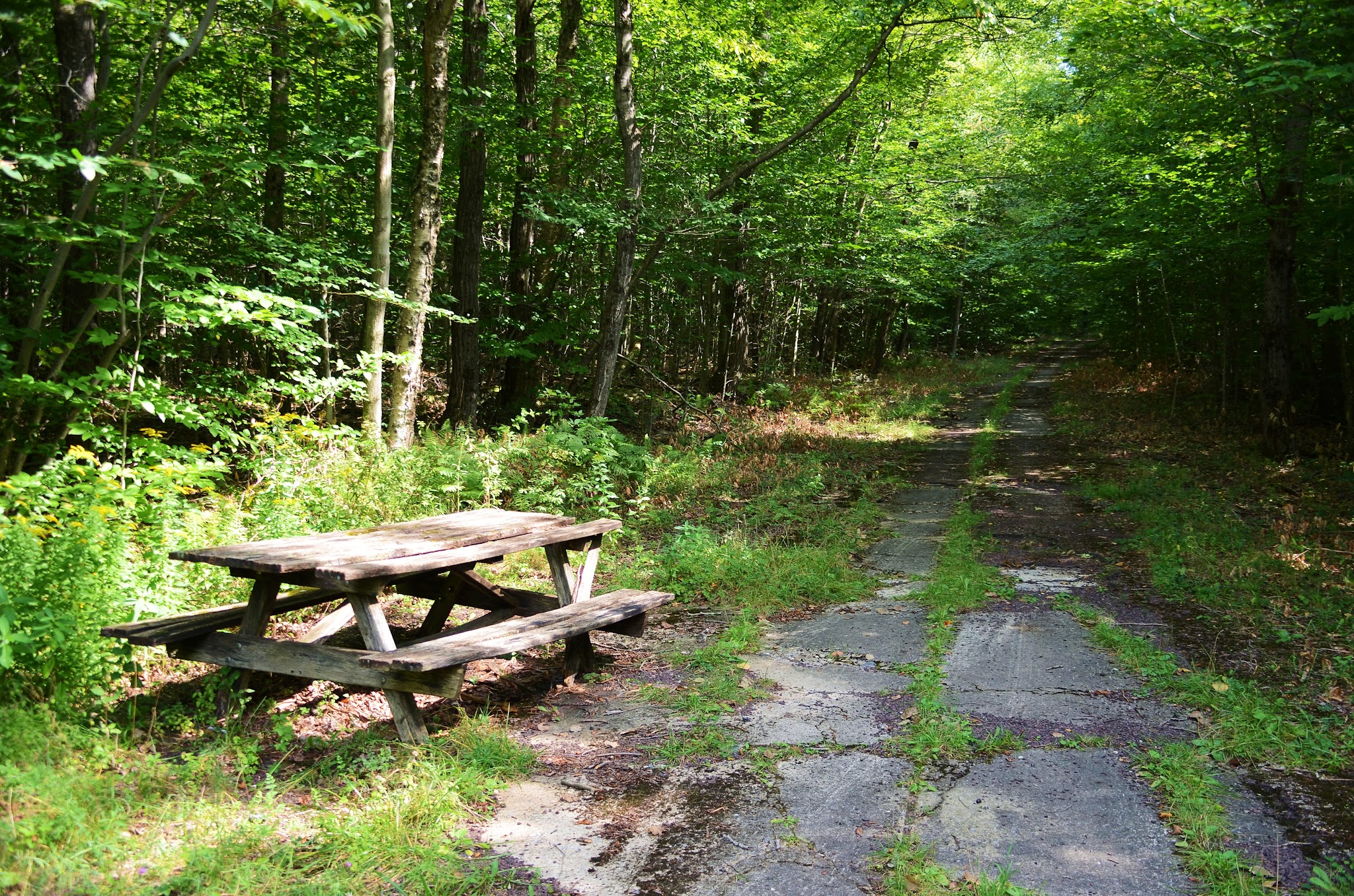 Gouldsboro State Park