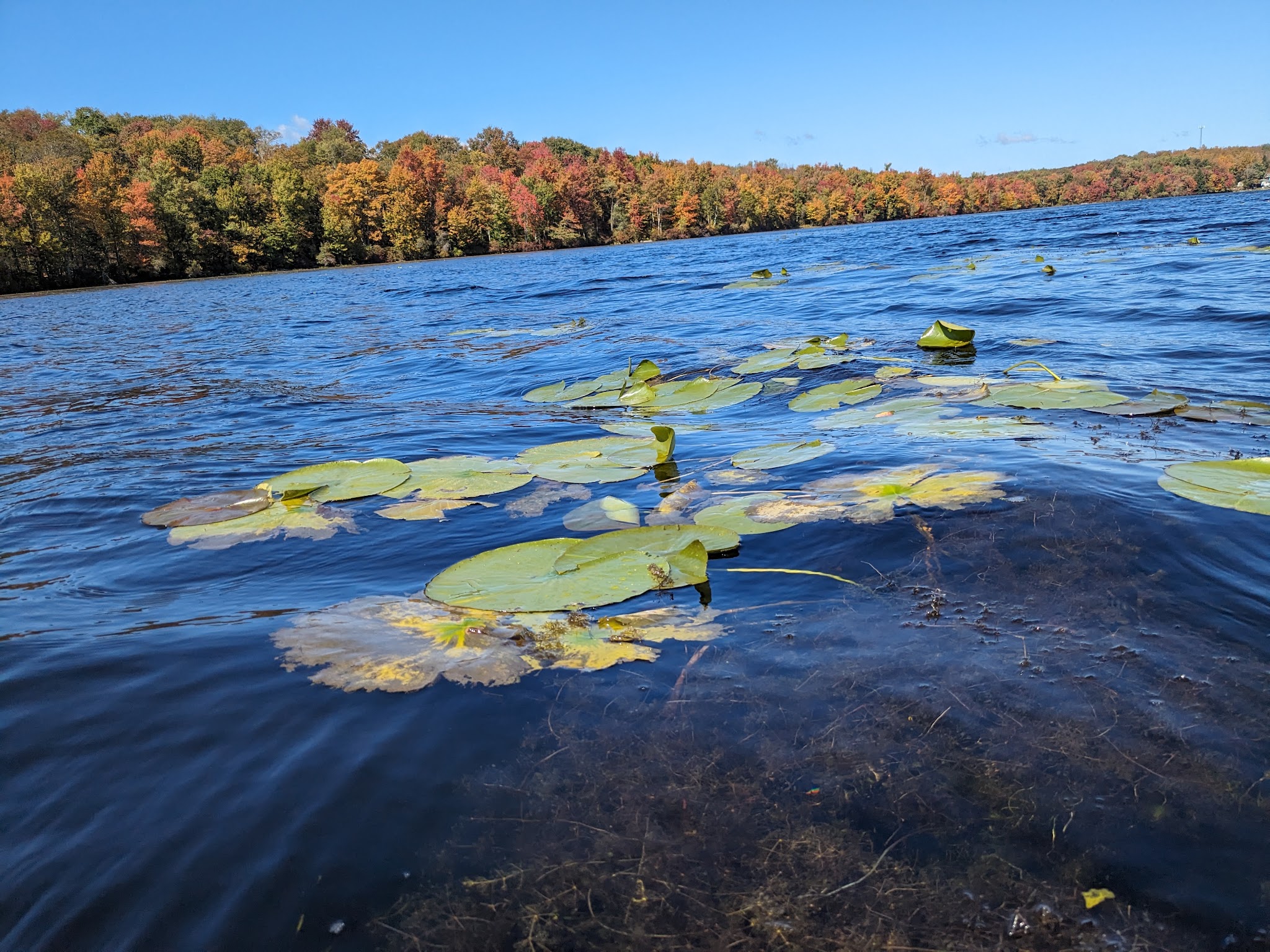Gouldsboro State Park