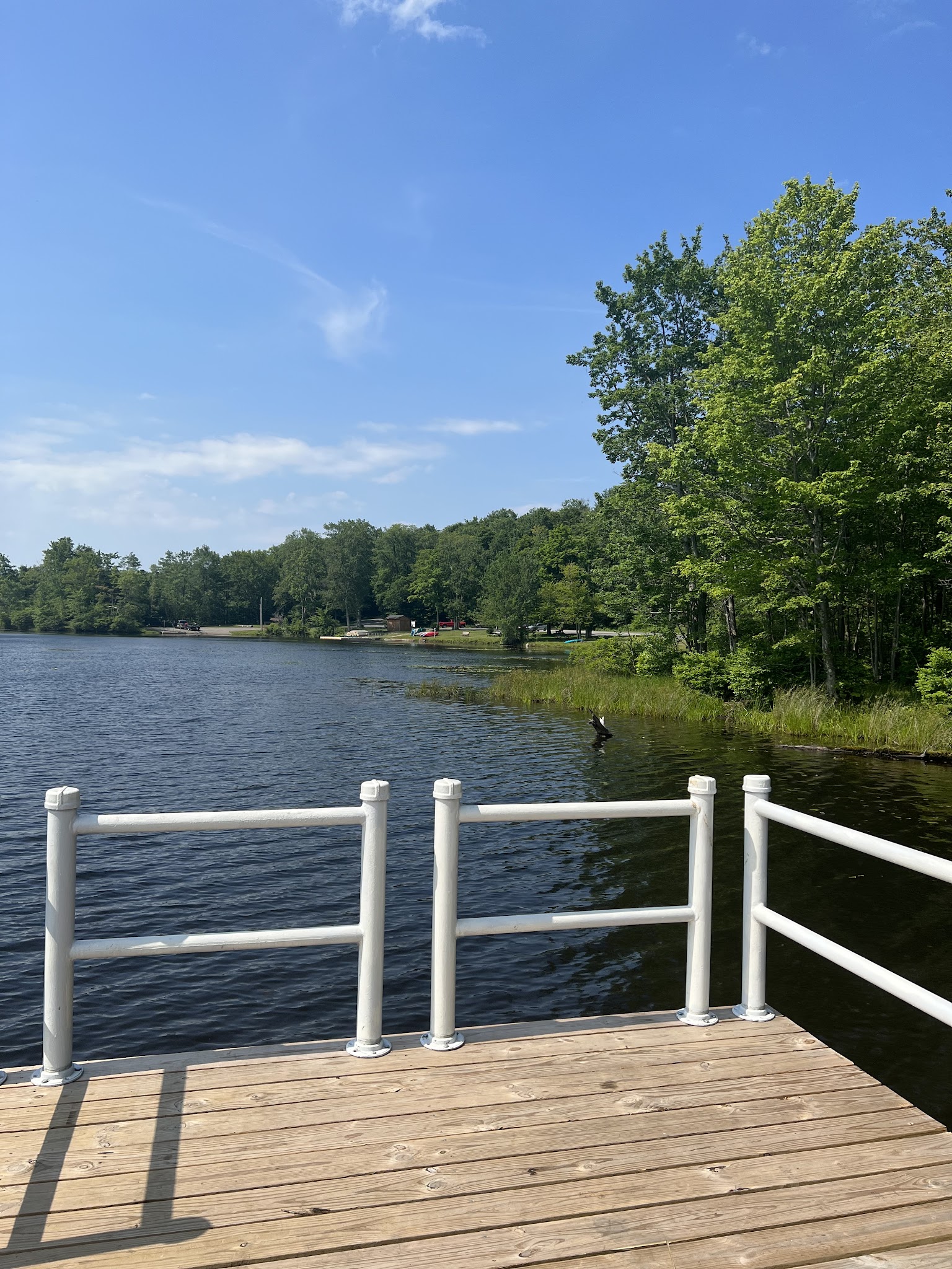 Gouldsboro State Park