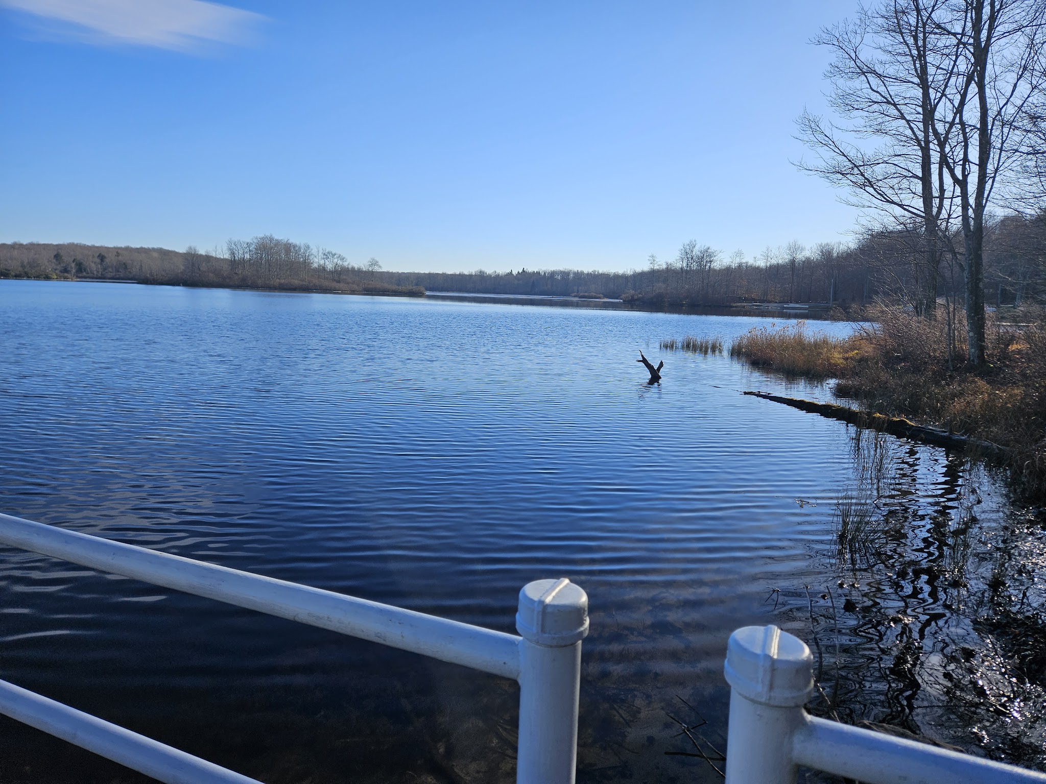 Gouldsboro State Park
