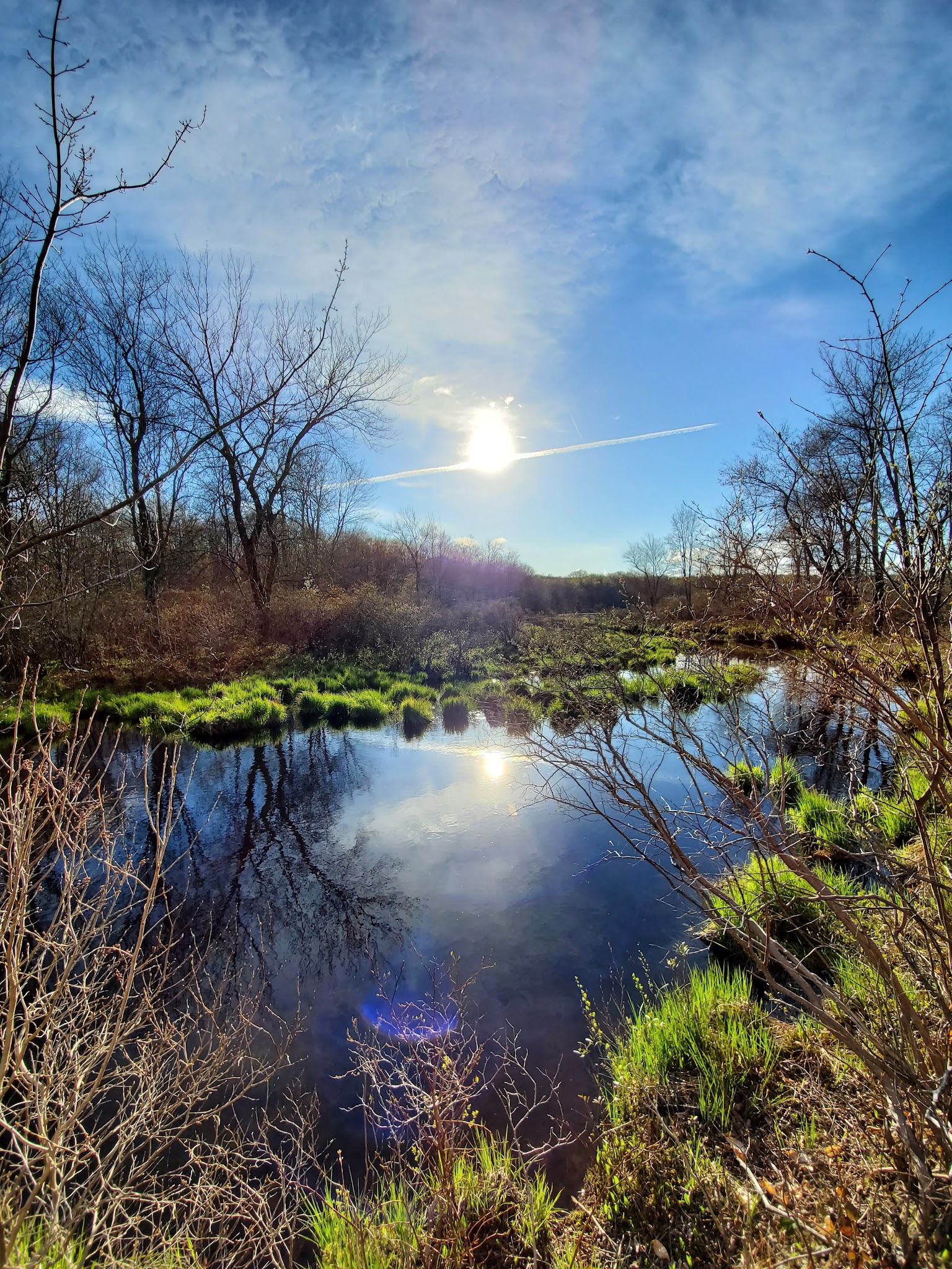 Gouldsboro State Park