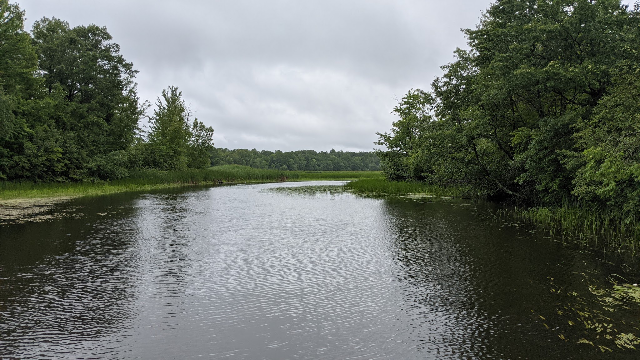 Governor Earl Peshtigo River State Forest