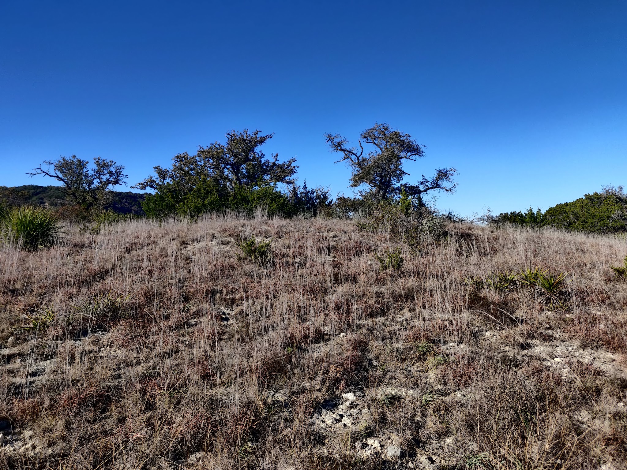Government Canyon State Natural Area