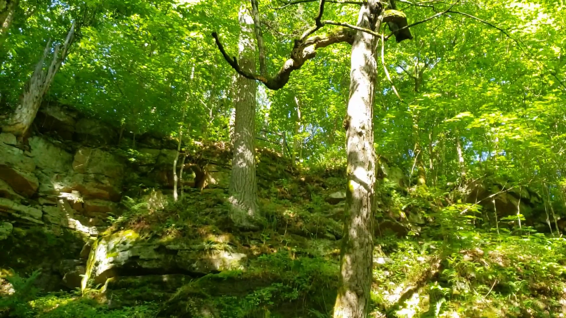 Governor Dodge State Park