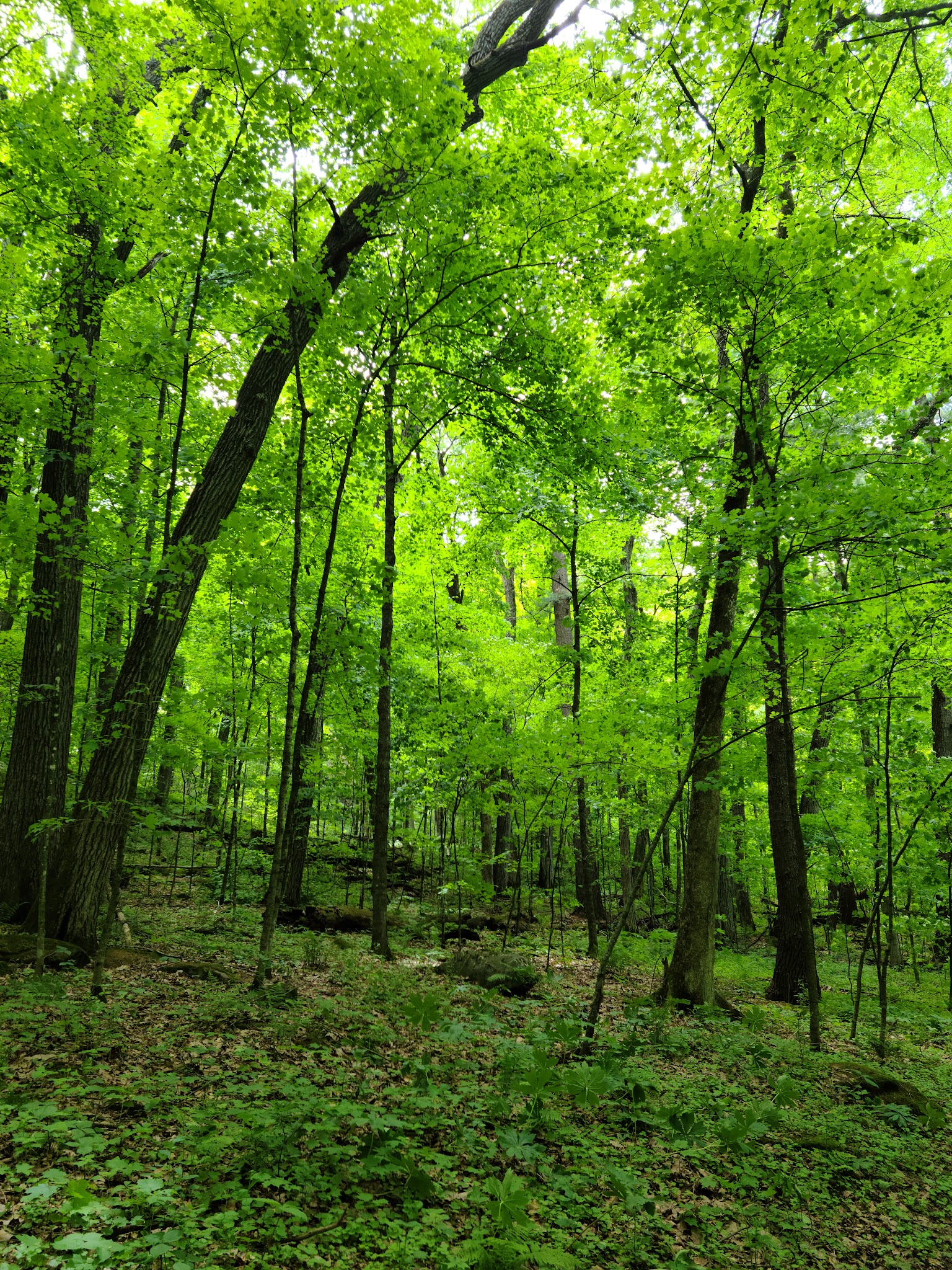 Governor Dodge State Park