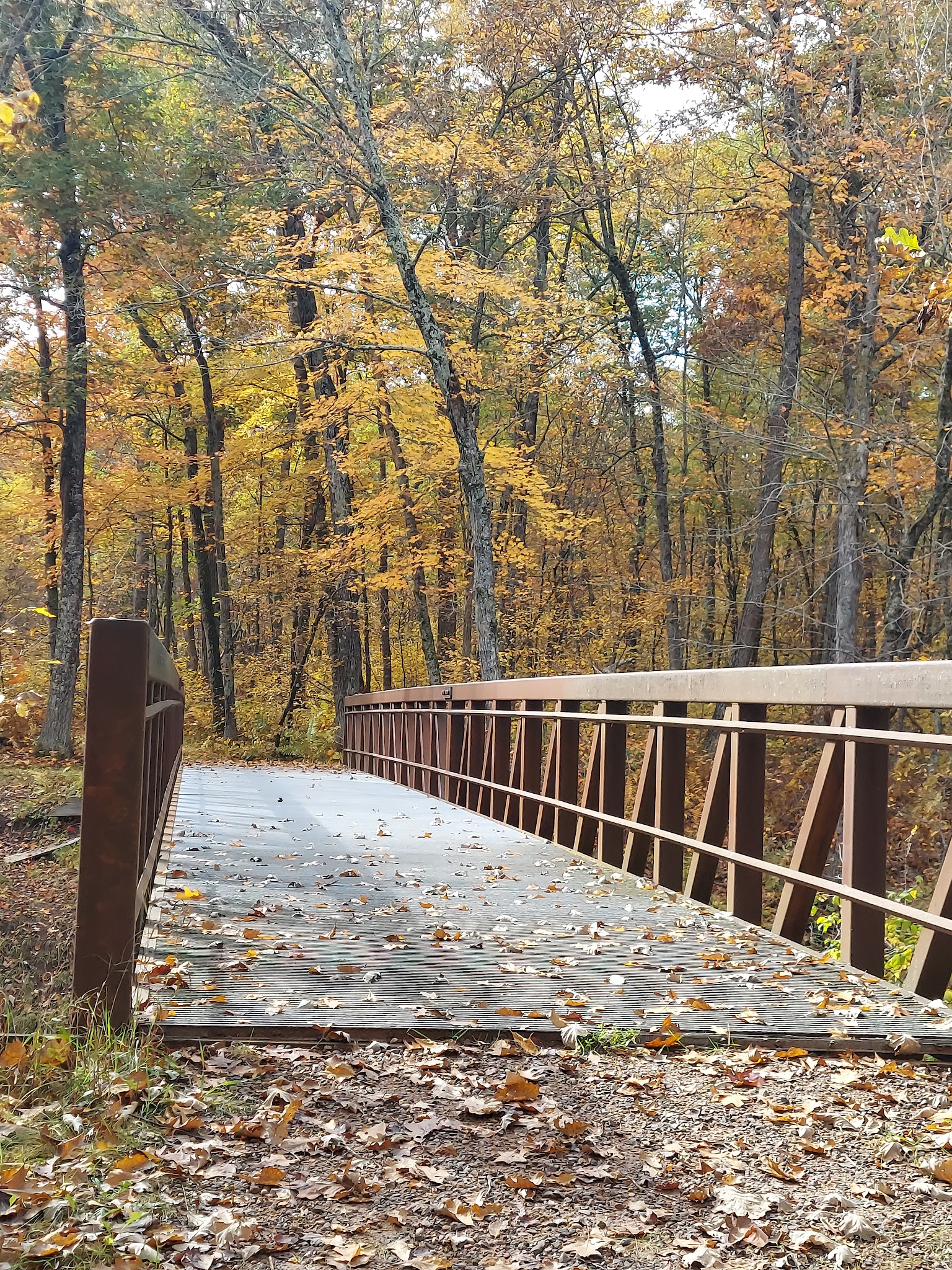 Governor Knowles State Forest