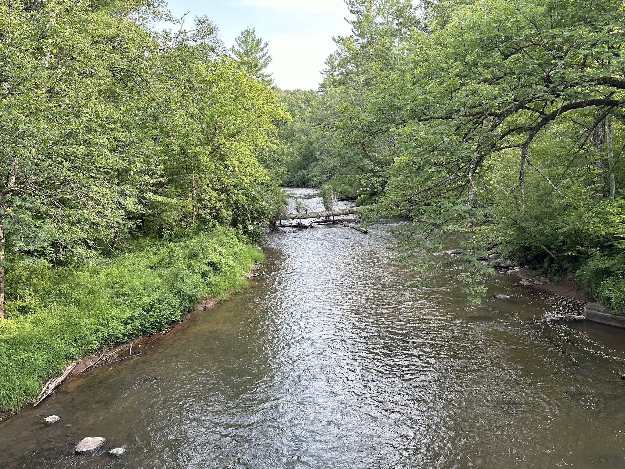 Governor Knowles State Forest