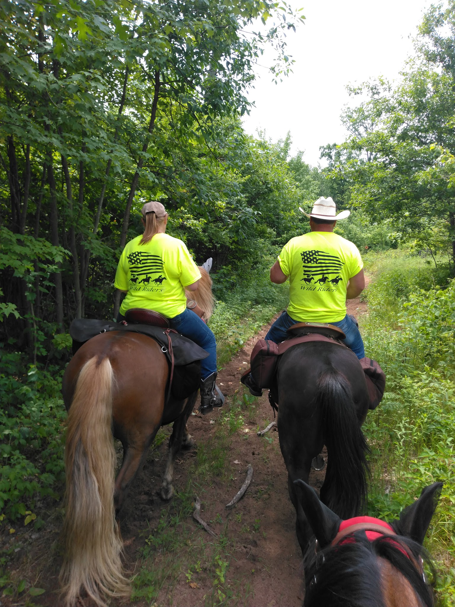 Governor Knowles State Forest