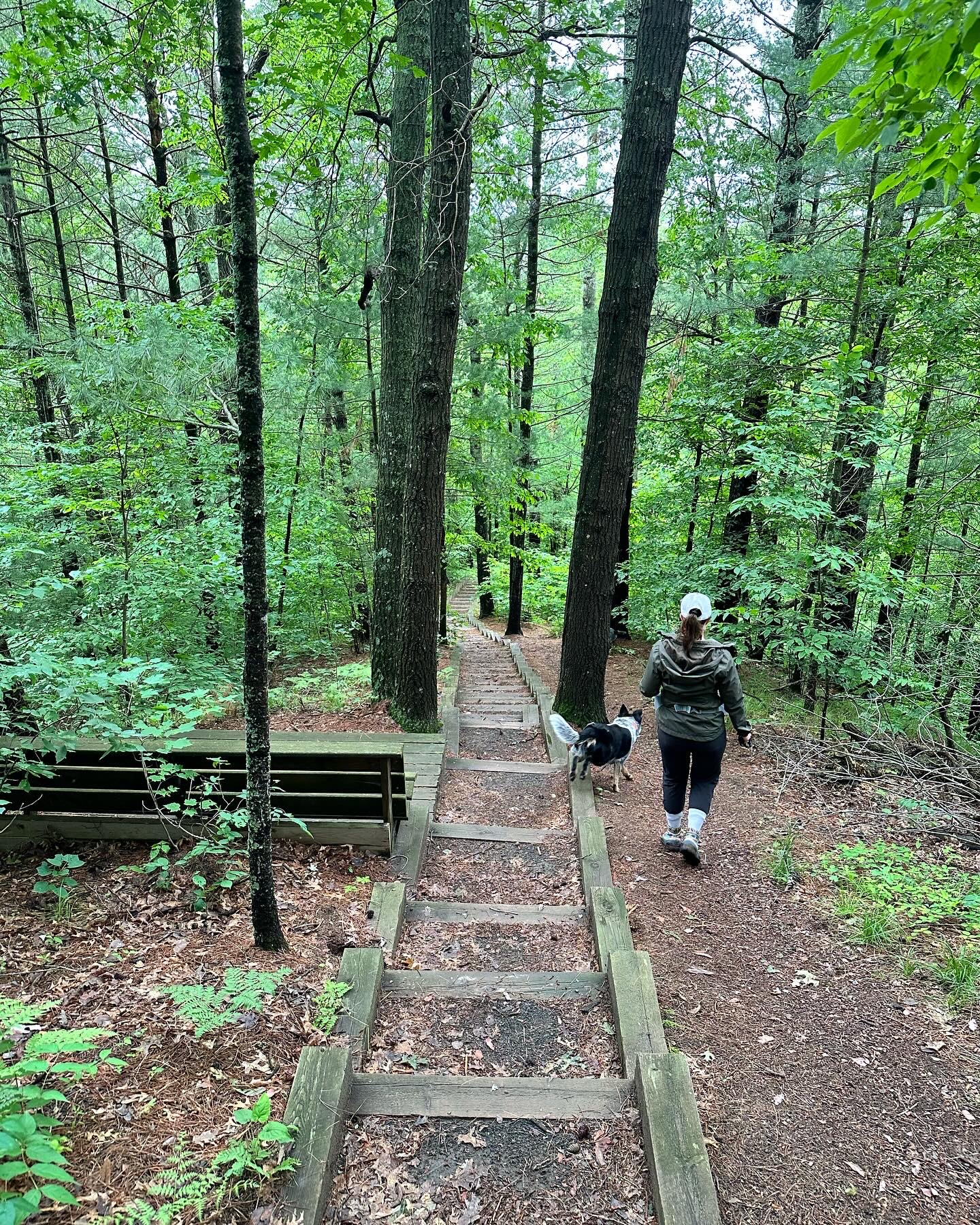 Governor Knowles State Forest