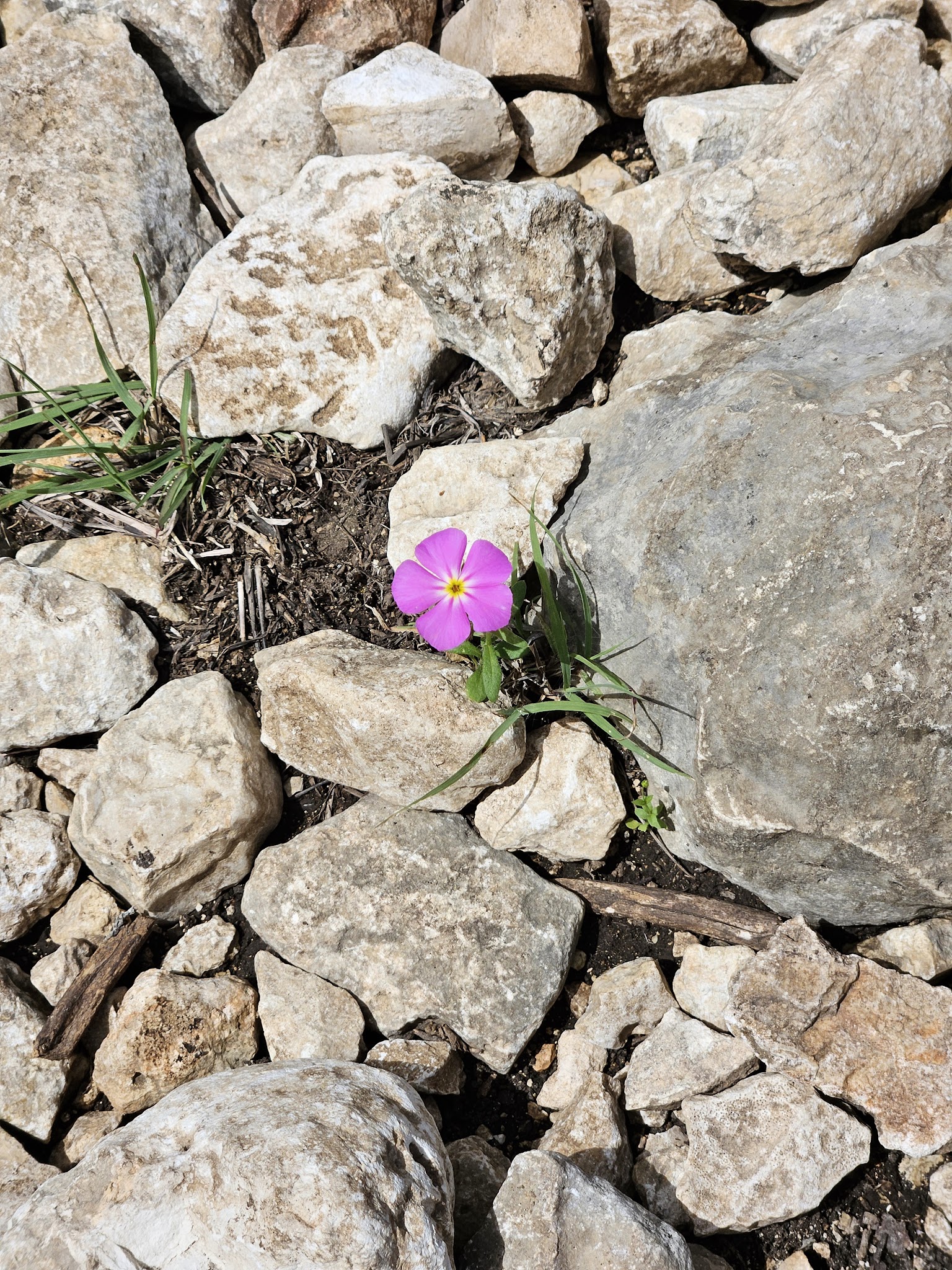 Government Canyon State Natural Area