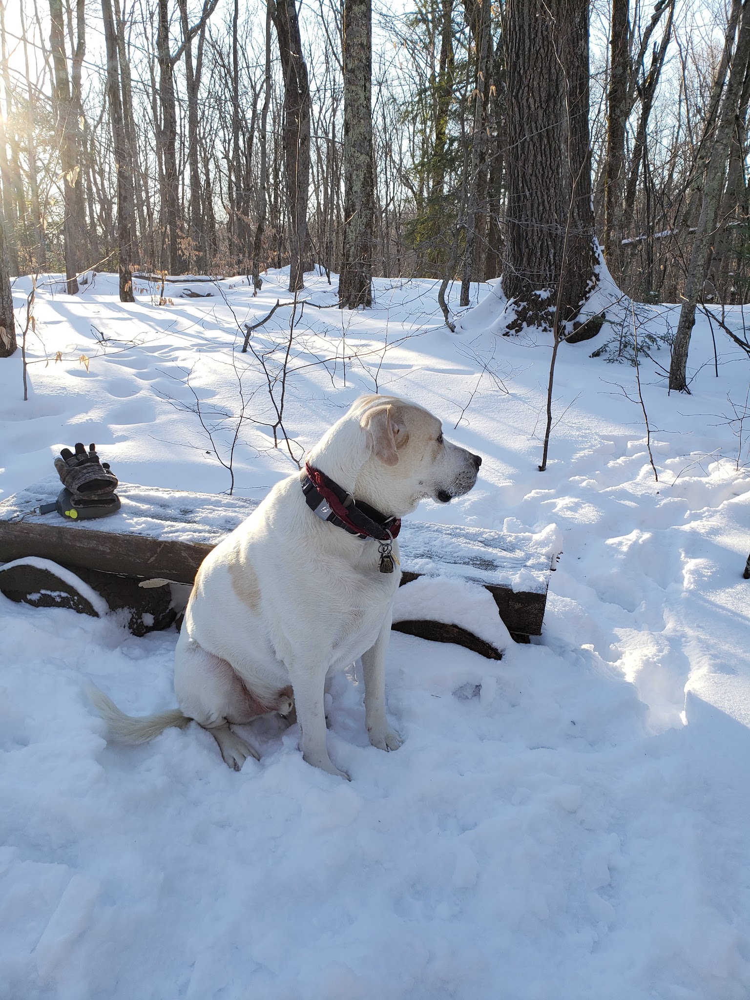 Grafton Lakes State Park 