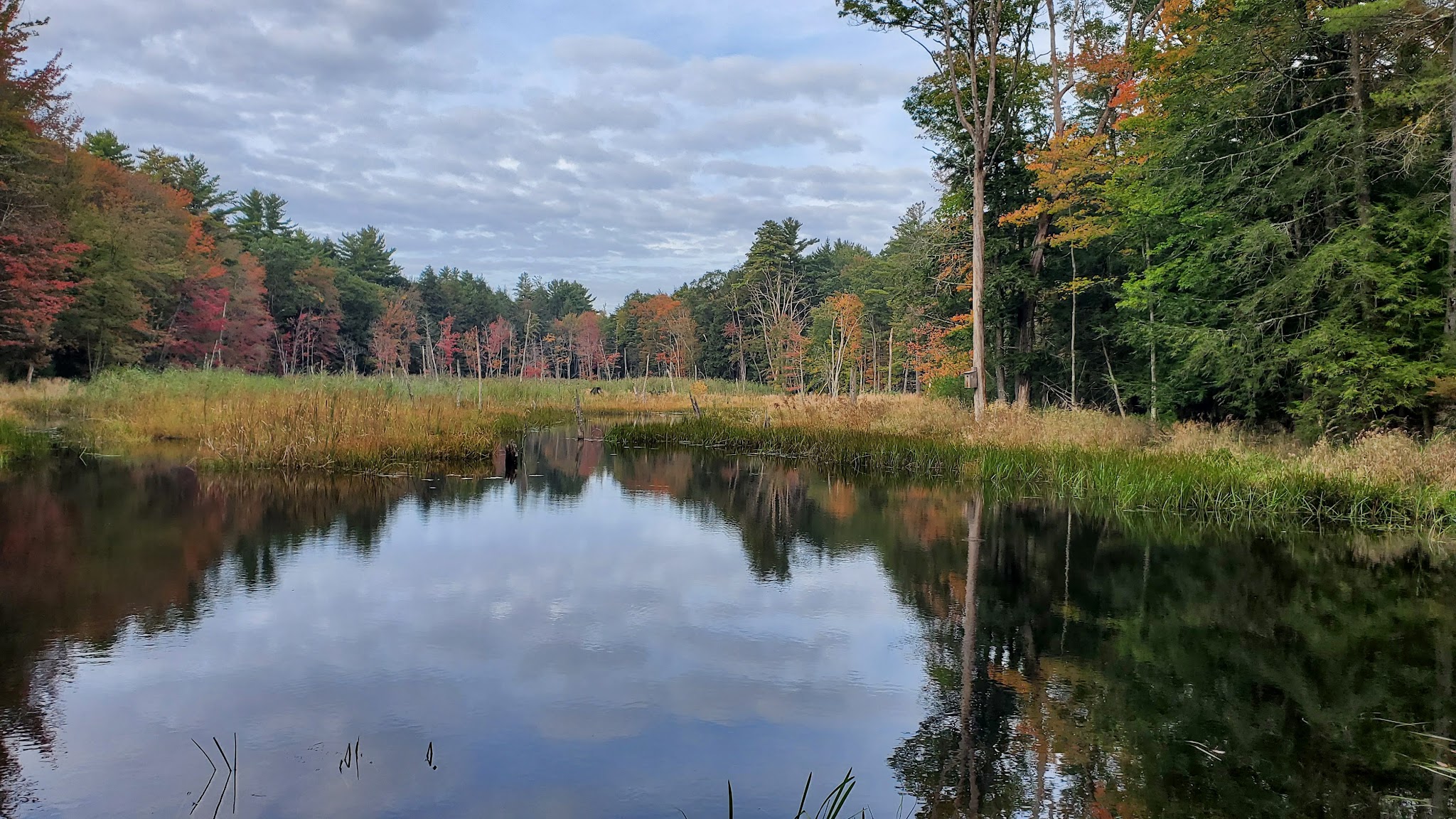 Grafton Lakes State Park 
