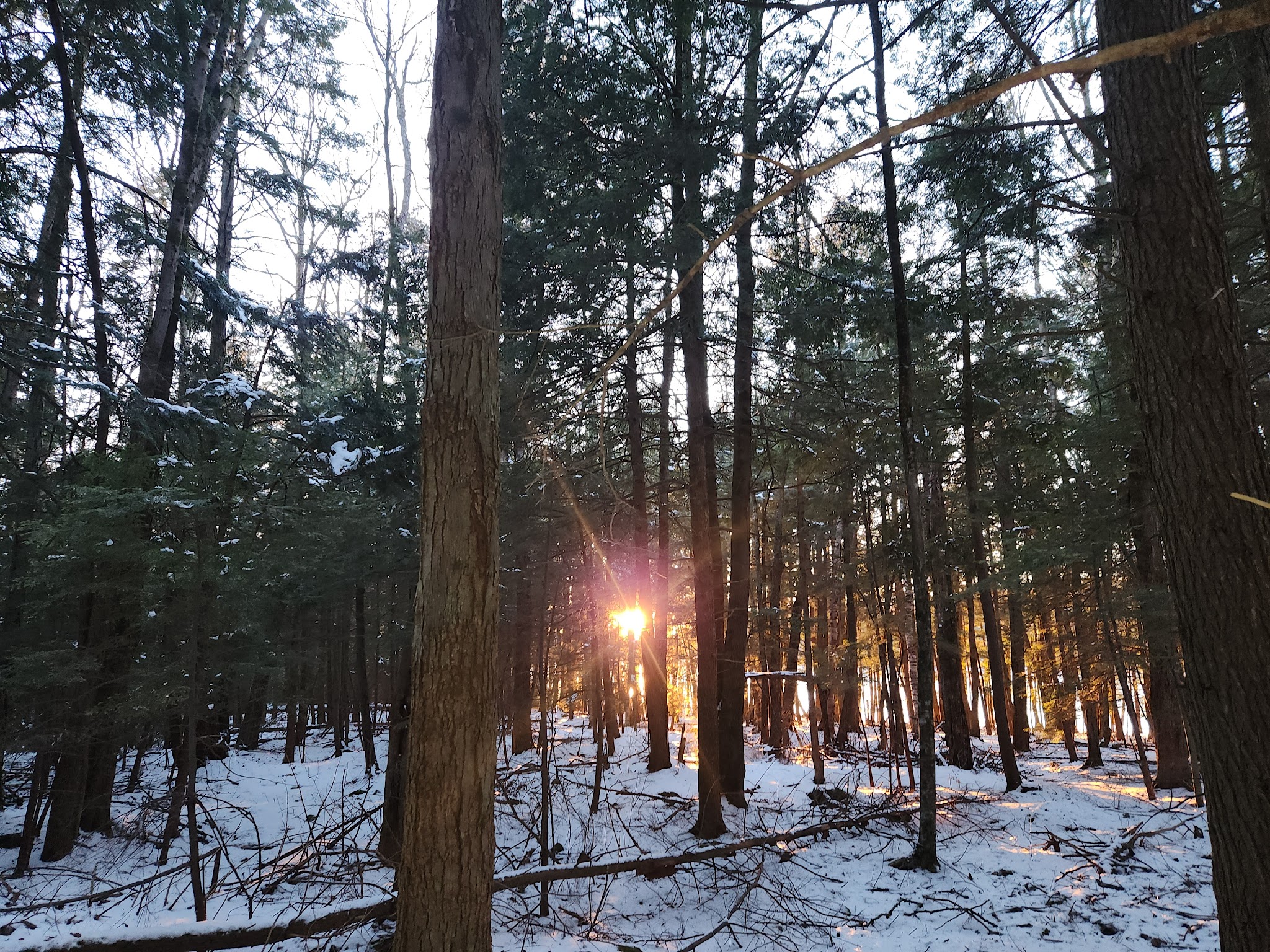 Grafton Lakes State Park 