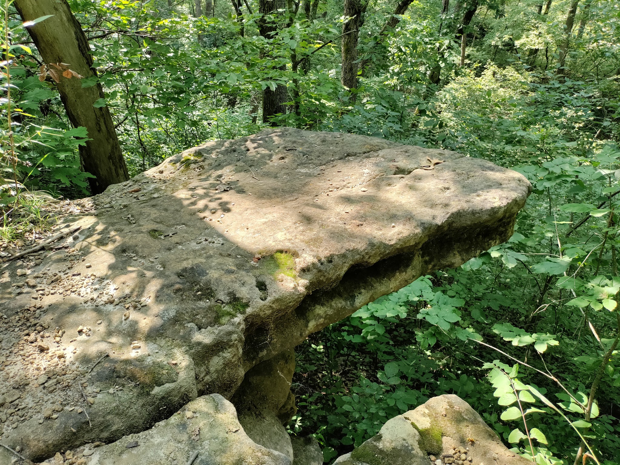 Graham Cave State Park Campground