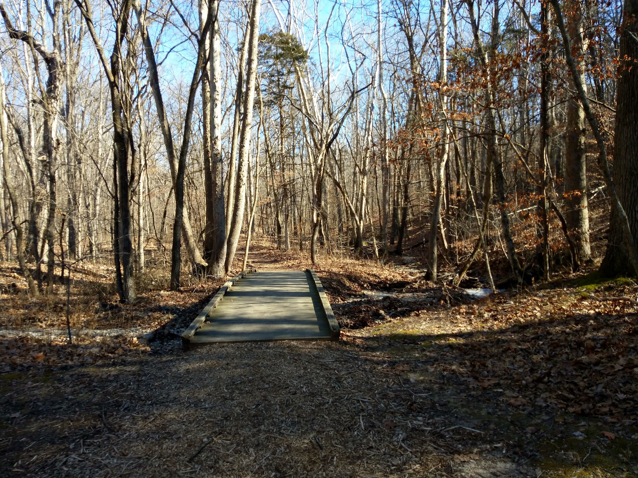 Graham Cave State Park Campground