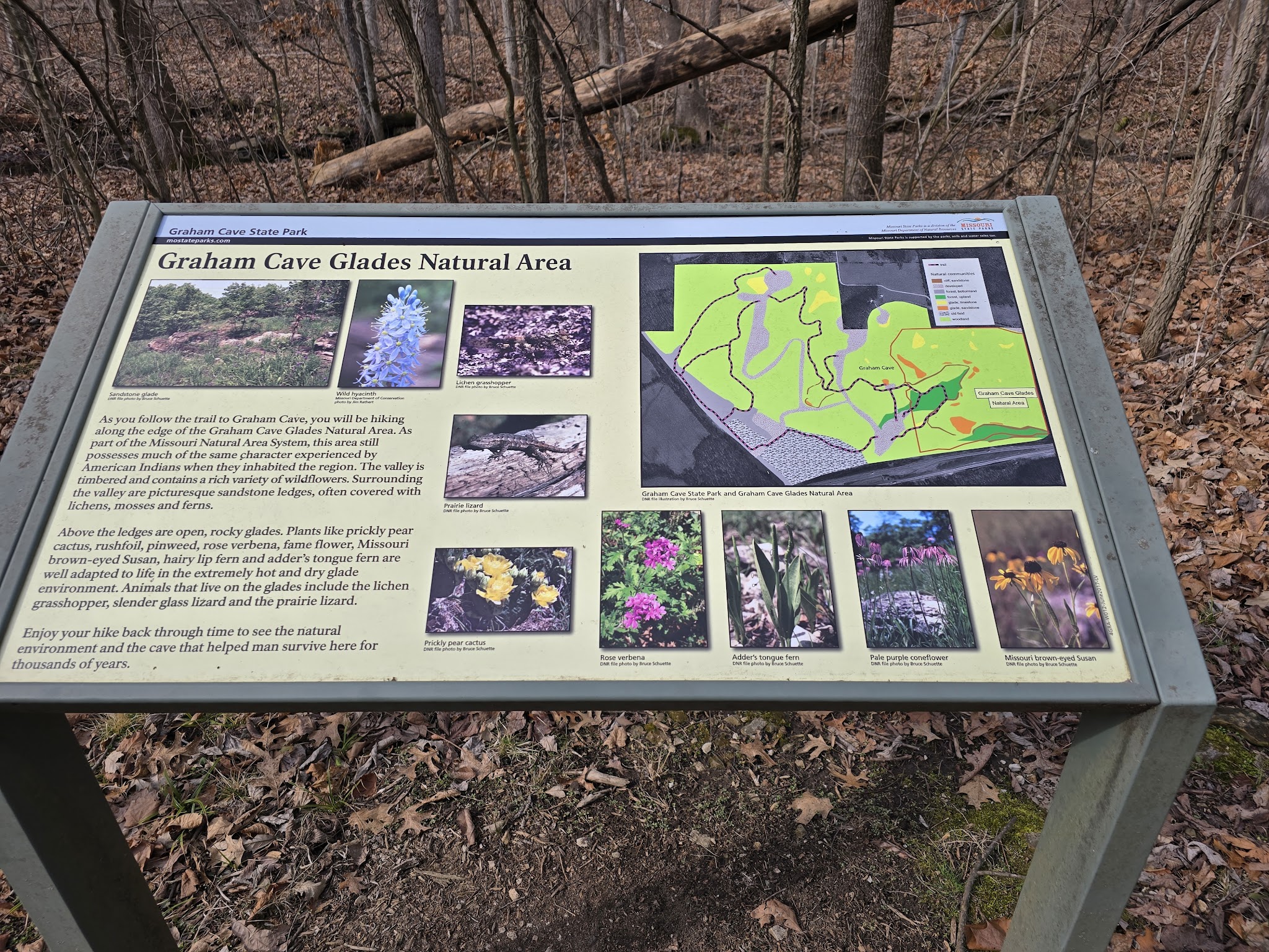 Graham Cave State Park Campground