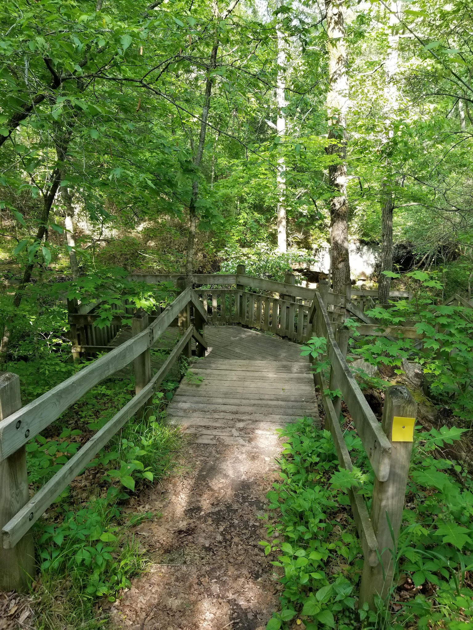 Graham Cave State Park Campground