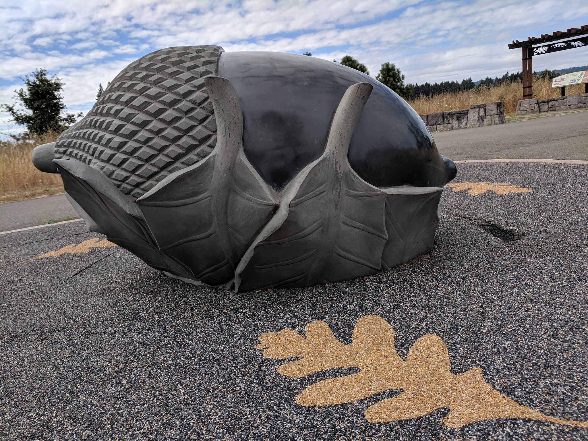 Graham Oaks Regional Np Activities Campground