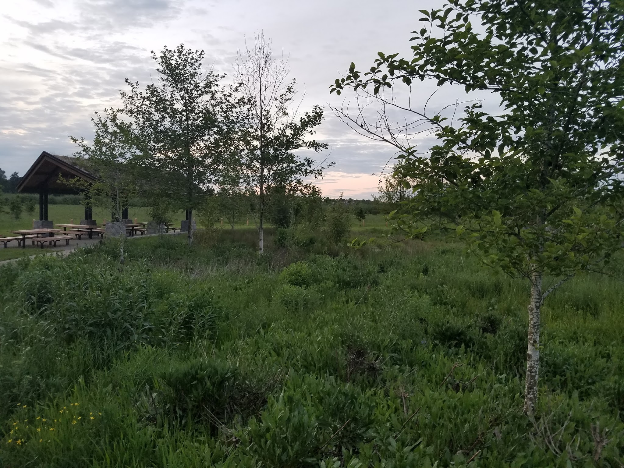 Graham Oaks Regional Np Activities Campground