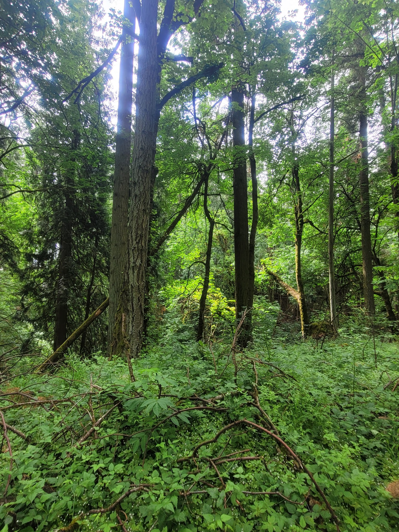 Graham Oaks Regional Np Activities Campground