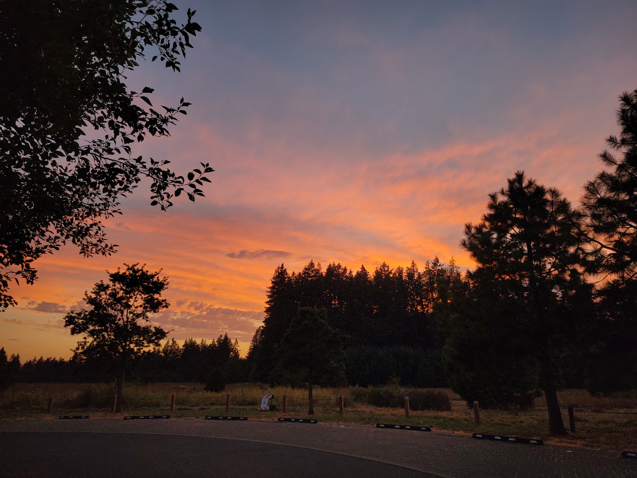 Graham Oaks Regional Np Activities Campground