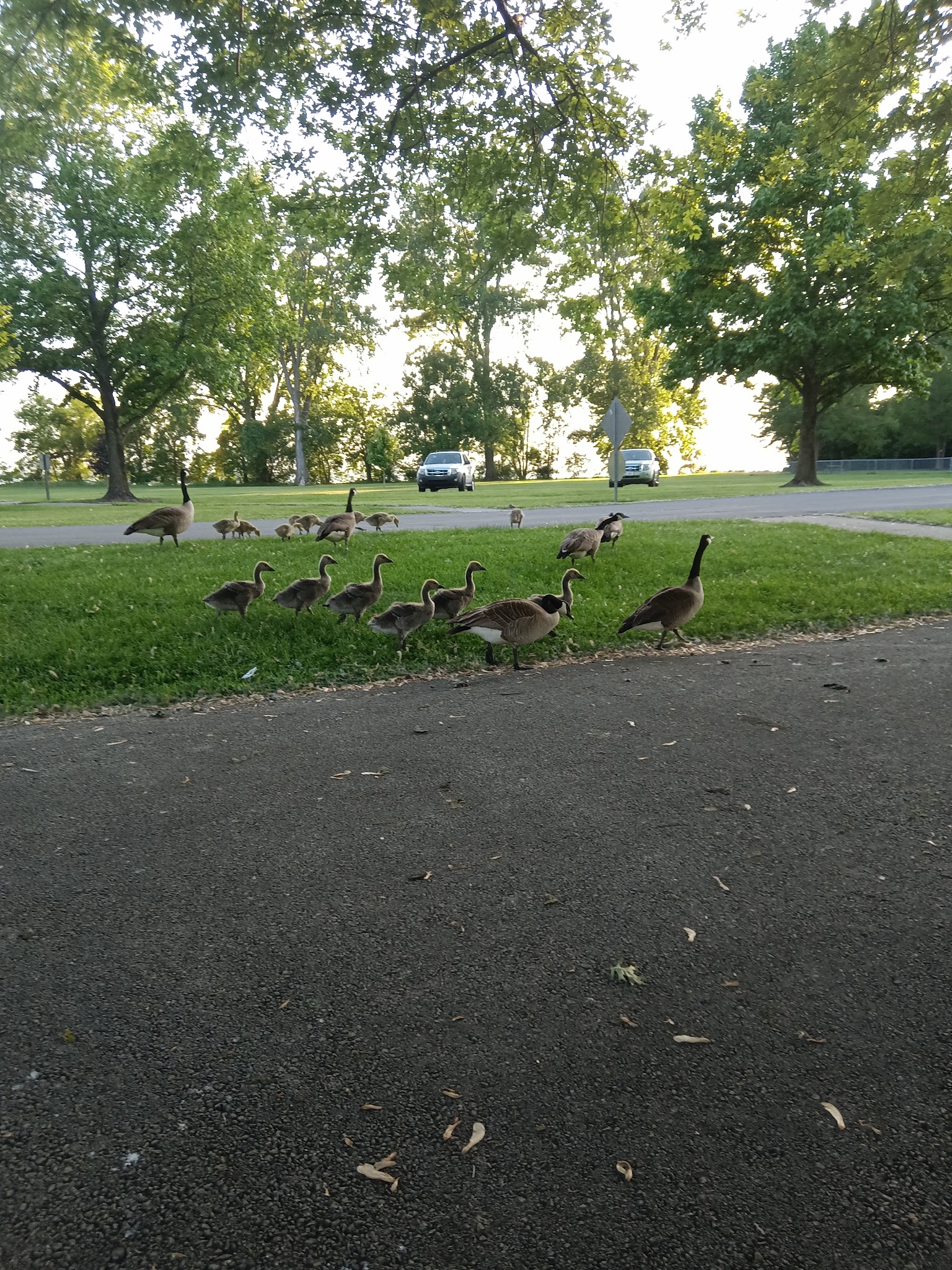 Grand Lake Estates Campground