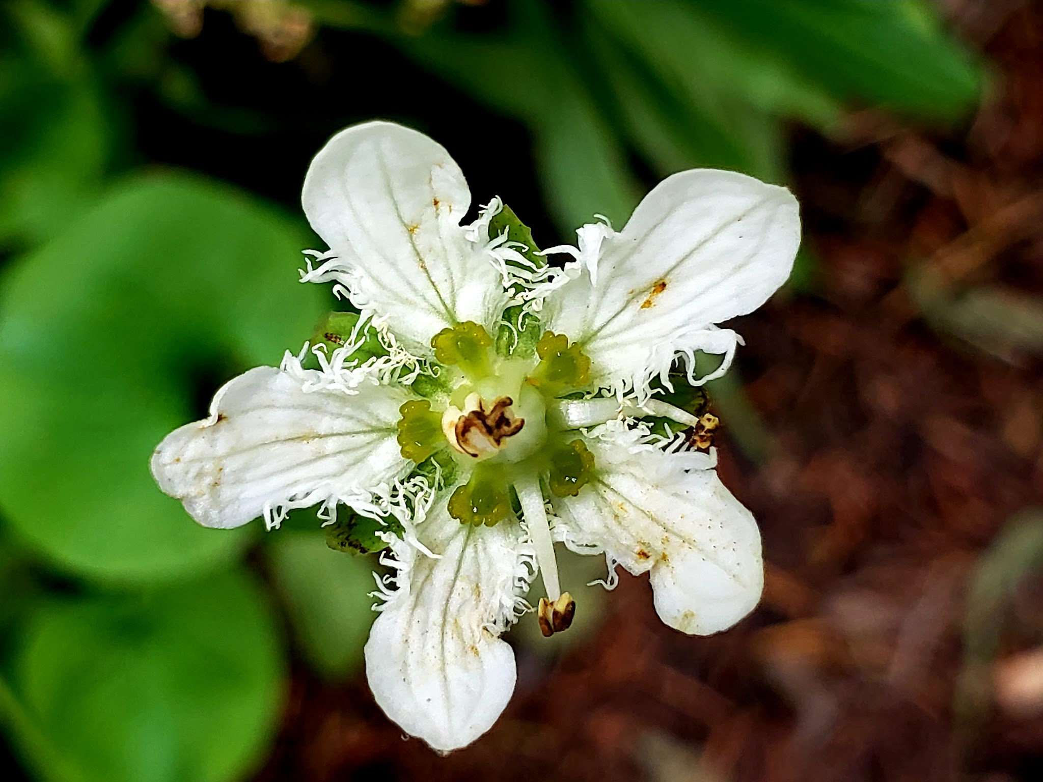 Grande Ronde Lake Campground