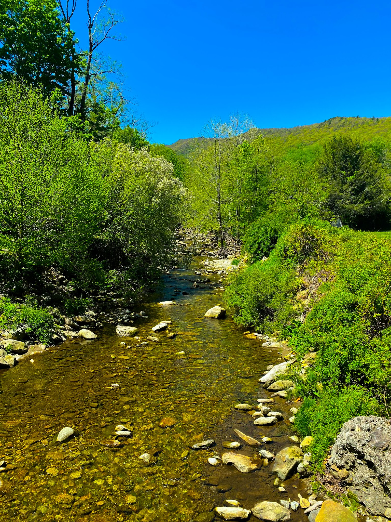 Grandfather Mountain State Park