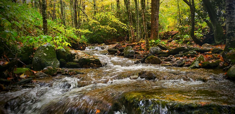 Grandfather Mountain State Park