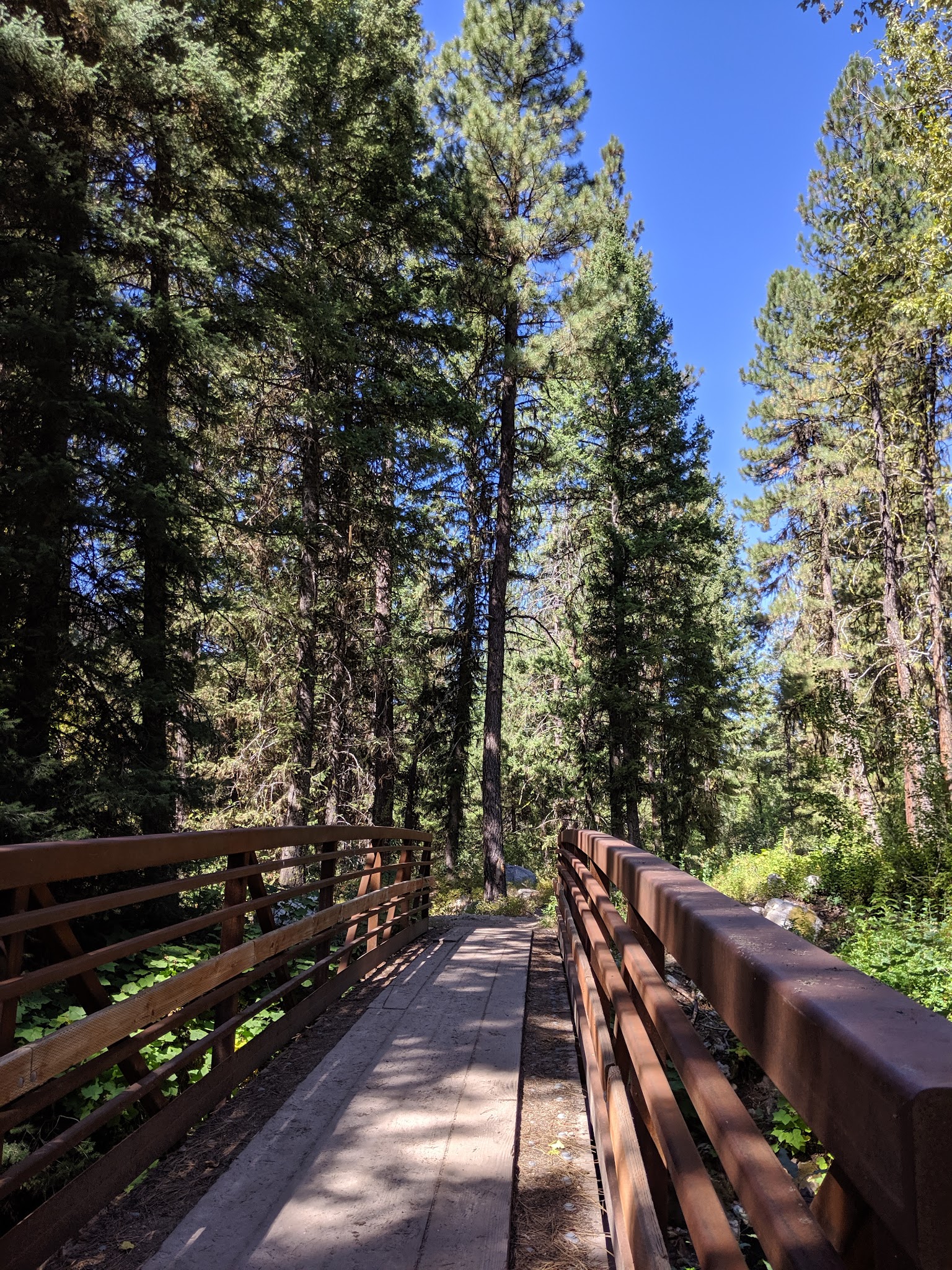 Sawtooth National Forest - Grandjean Campground