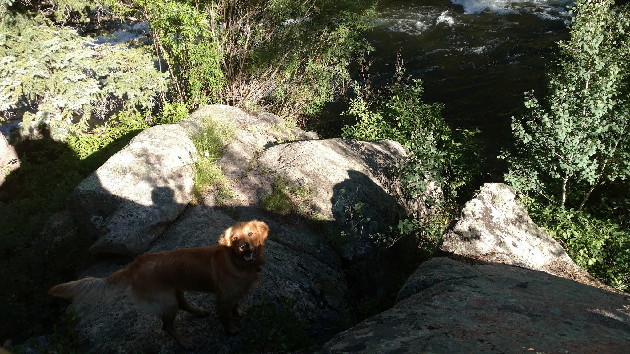 Granite Tent Campground - Gunnison Rd